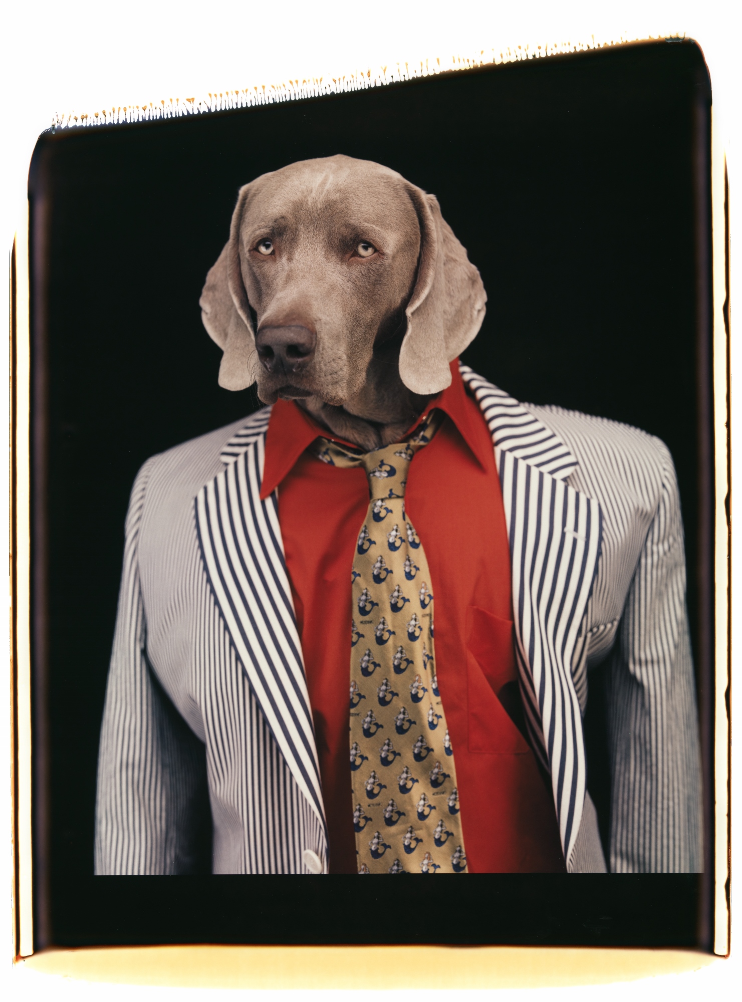 Sesame Street William Wegman Weimaraner Sesame Street Weimaraner