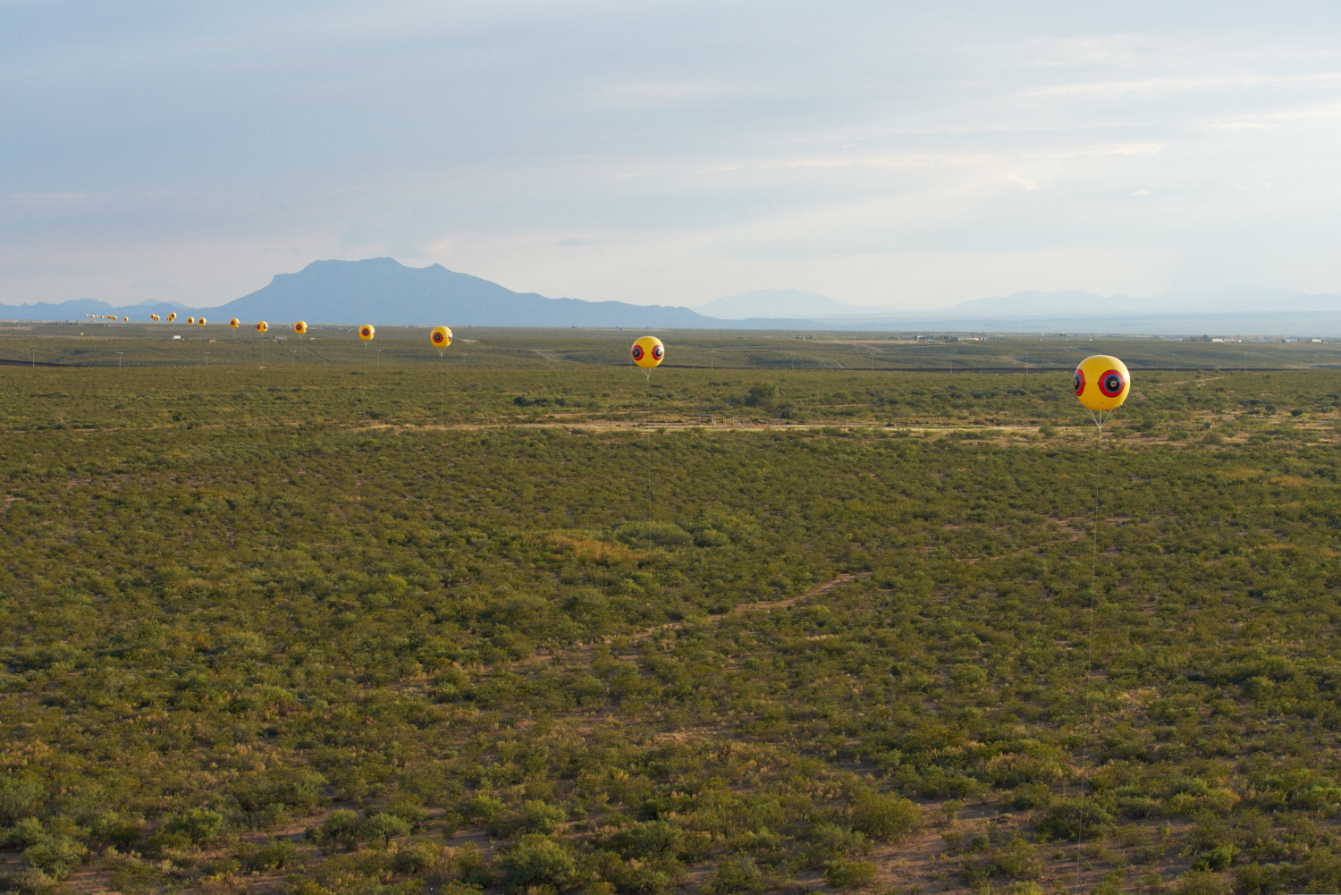 Repellent Fence Postcommodity