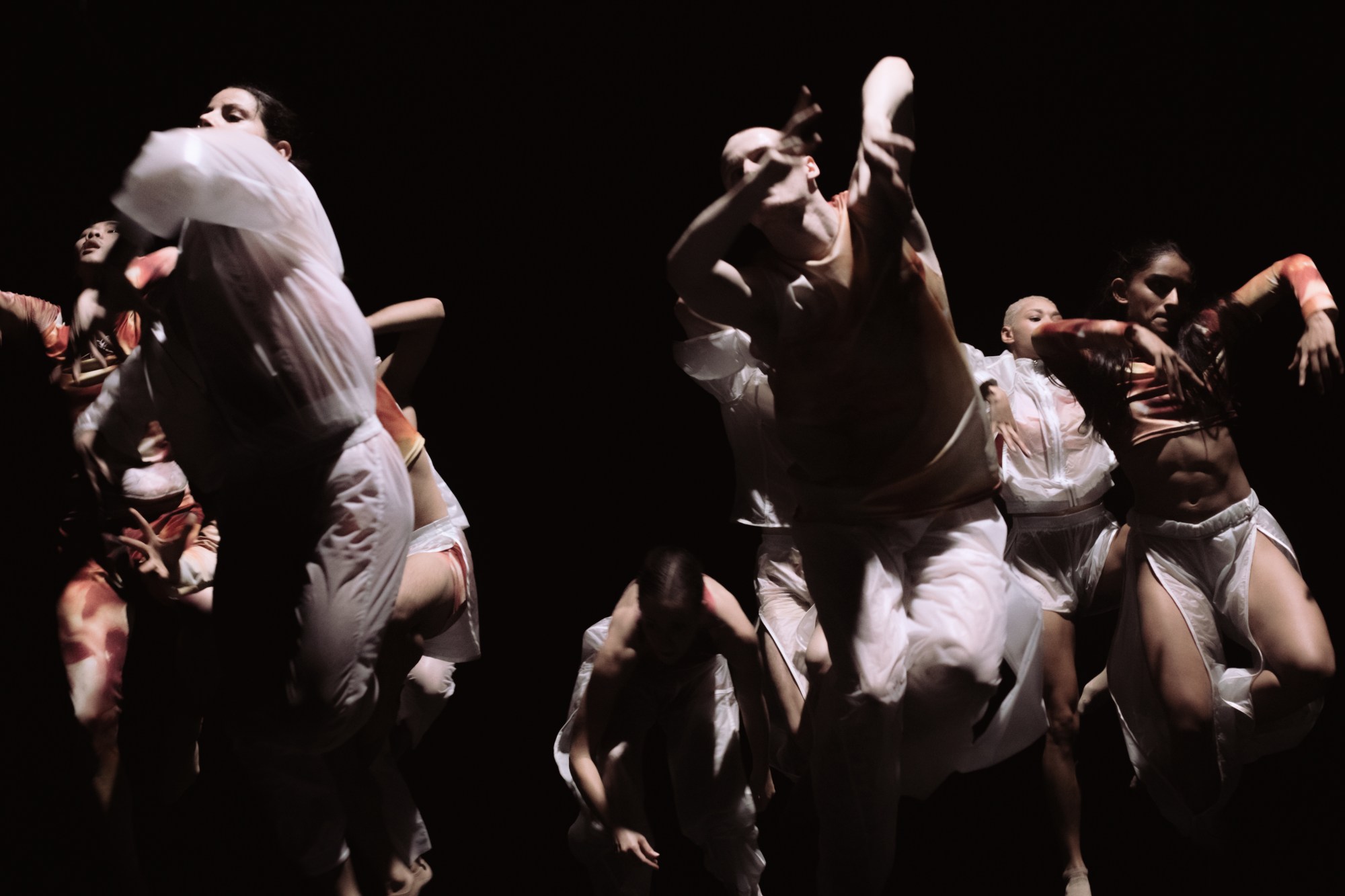 Dancers in Cottweiler