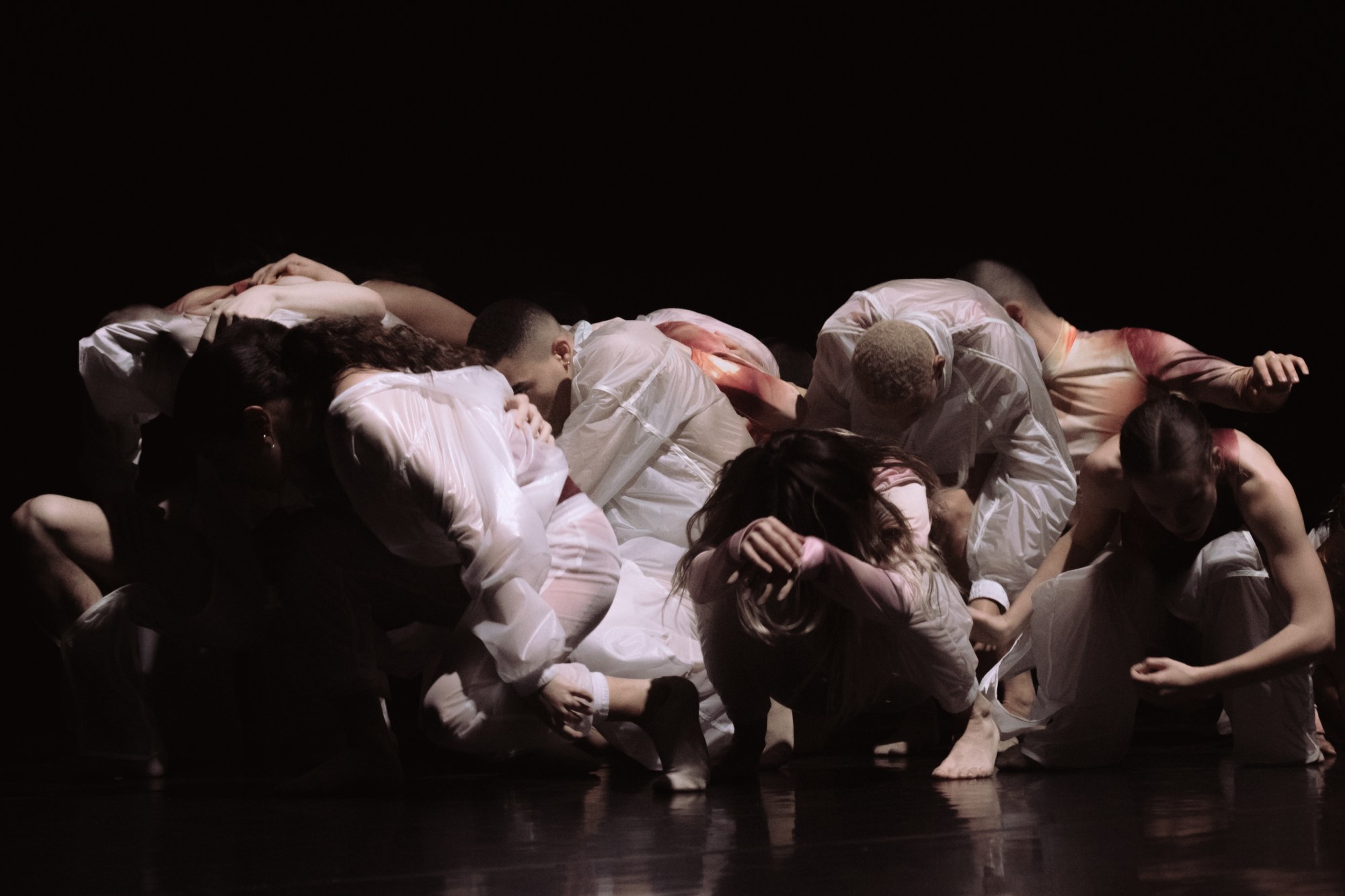 Young dancers in Cottweiler