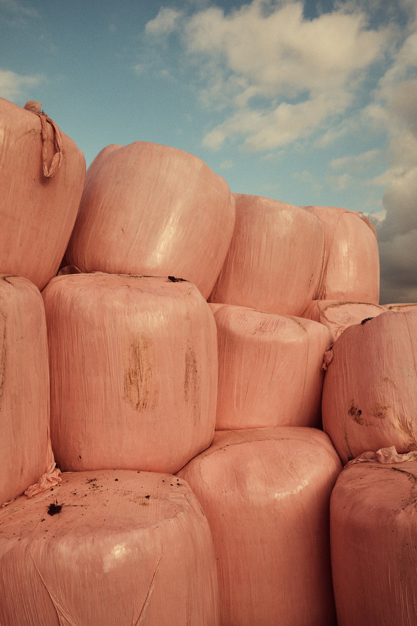 Bails of hay in a farm in Norfolk