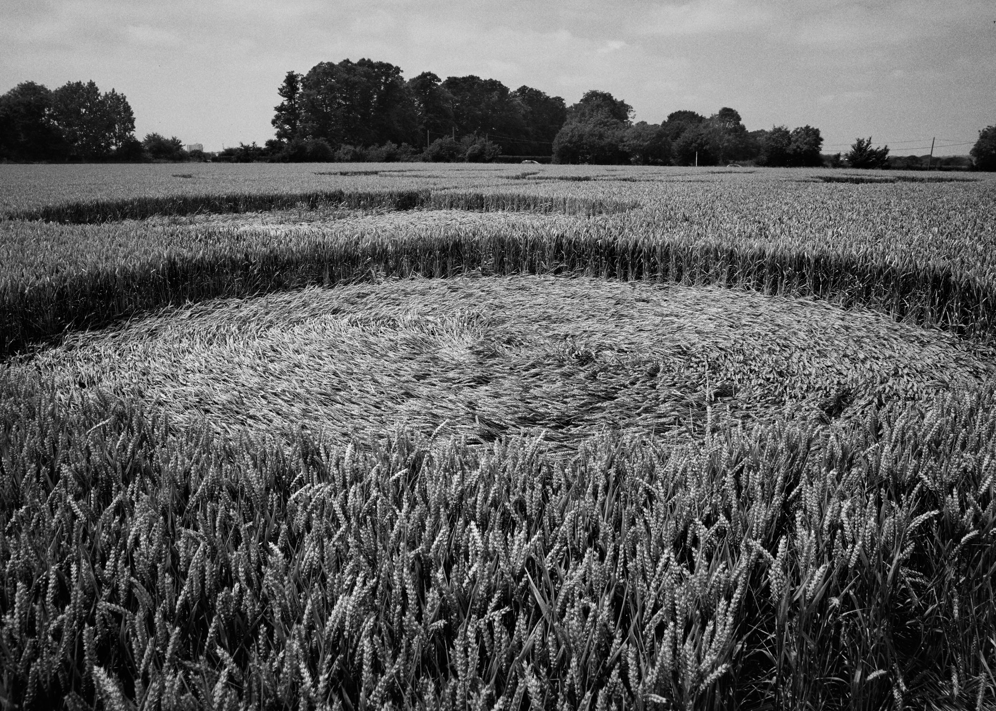 Crop circles in Norfolk