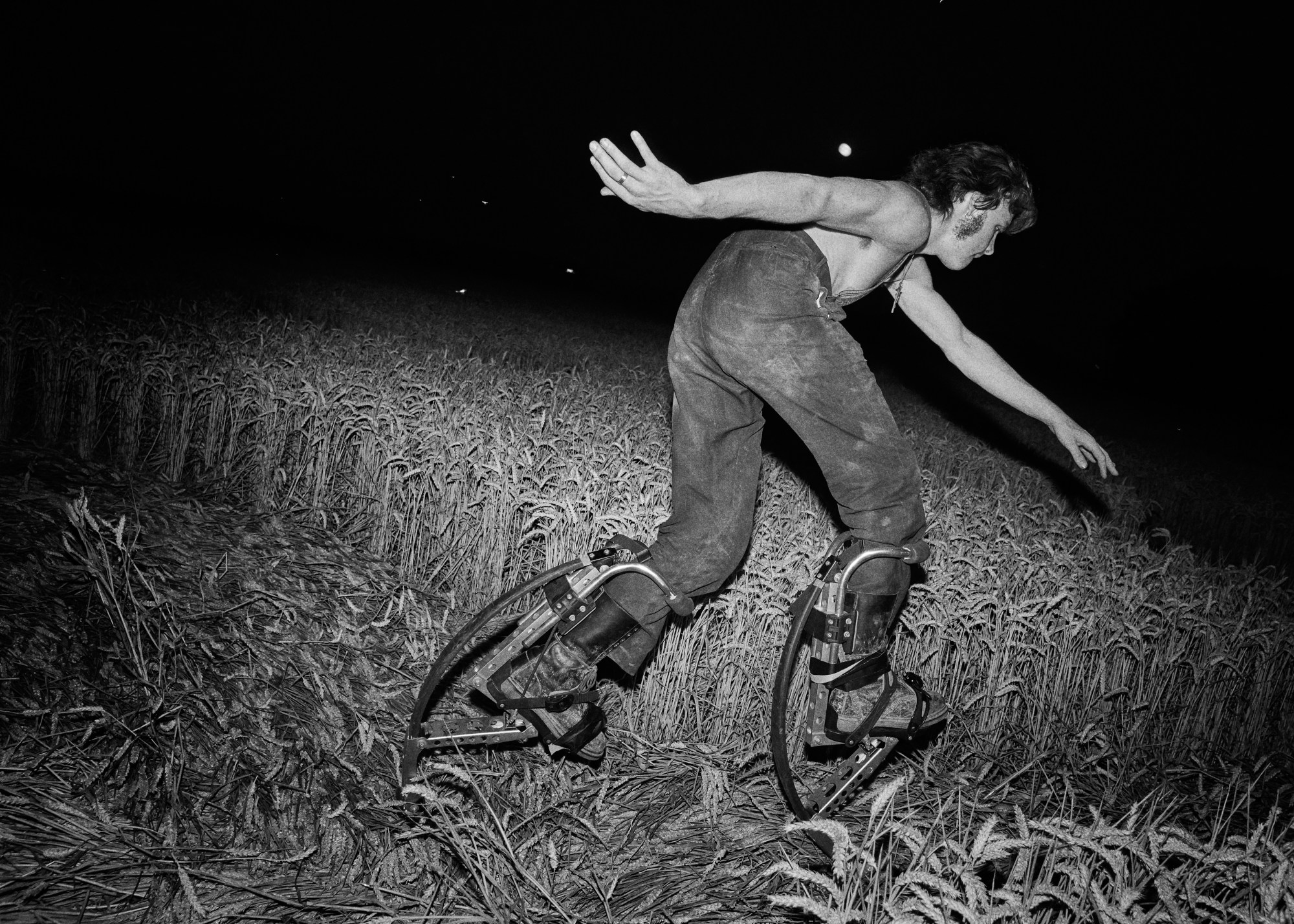 Working on a farm in Norfolk at night