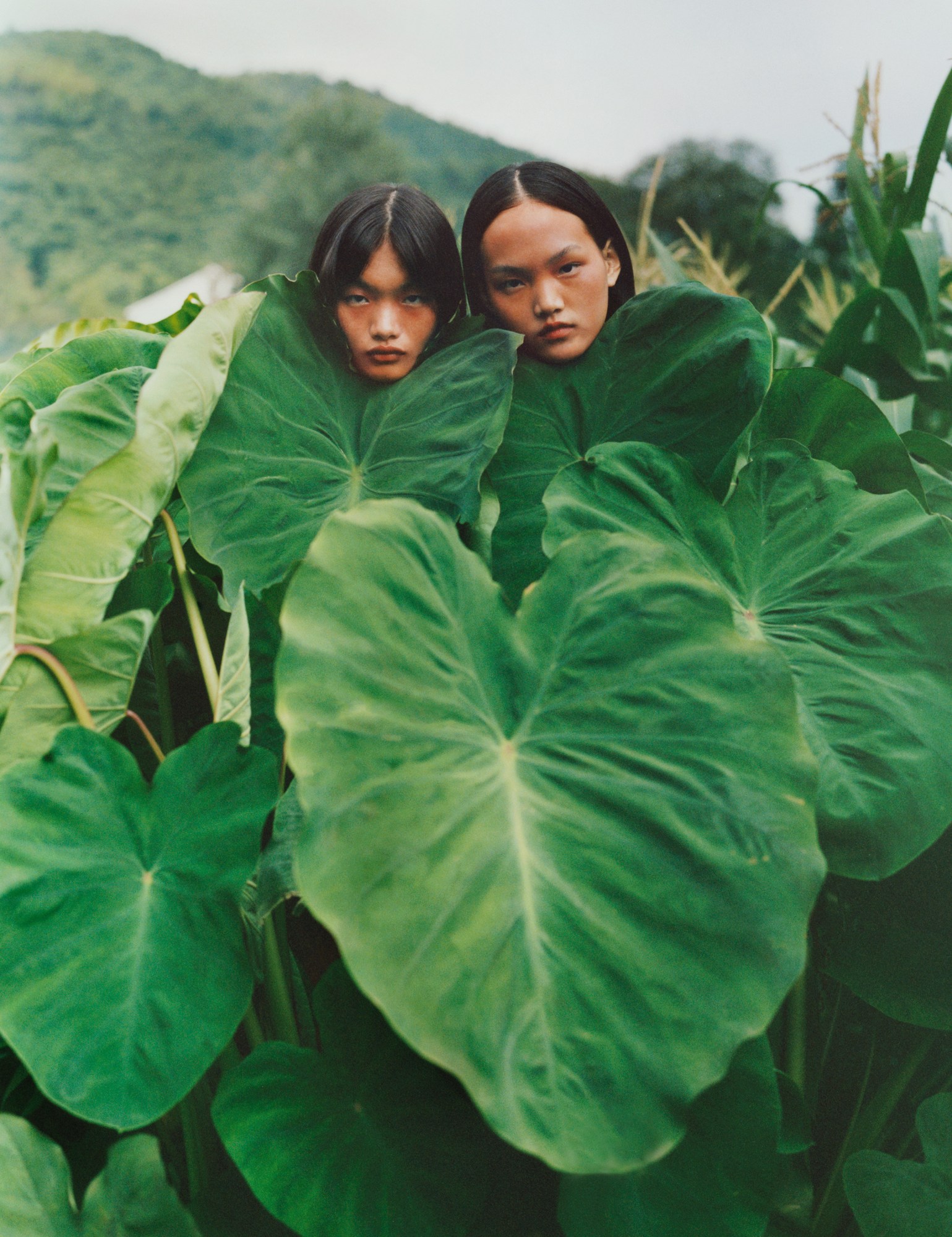 Two models standing behind leaves photographed by Alexandra Leese