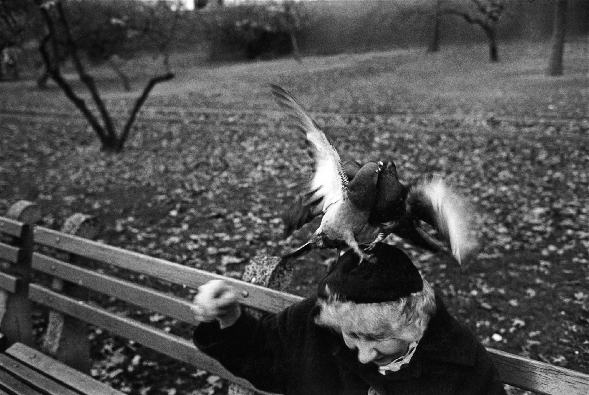 Richard Kalvar photographs a woman with two pigeons on her head