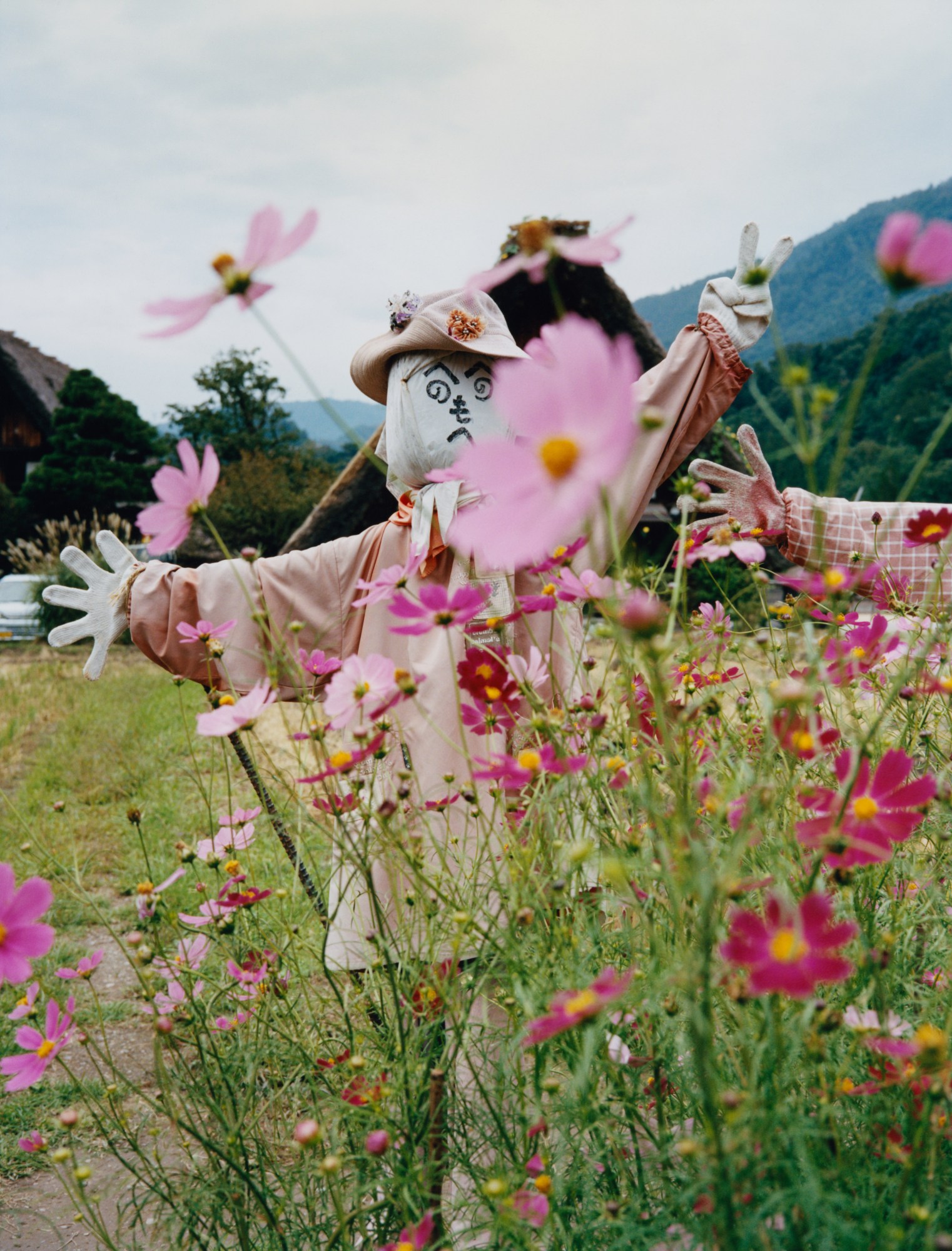 maxwell tomlinson photographs a scarecrow in a field of flowers