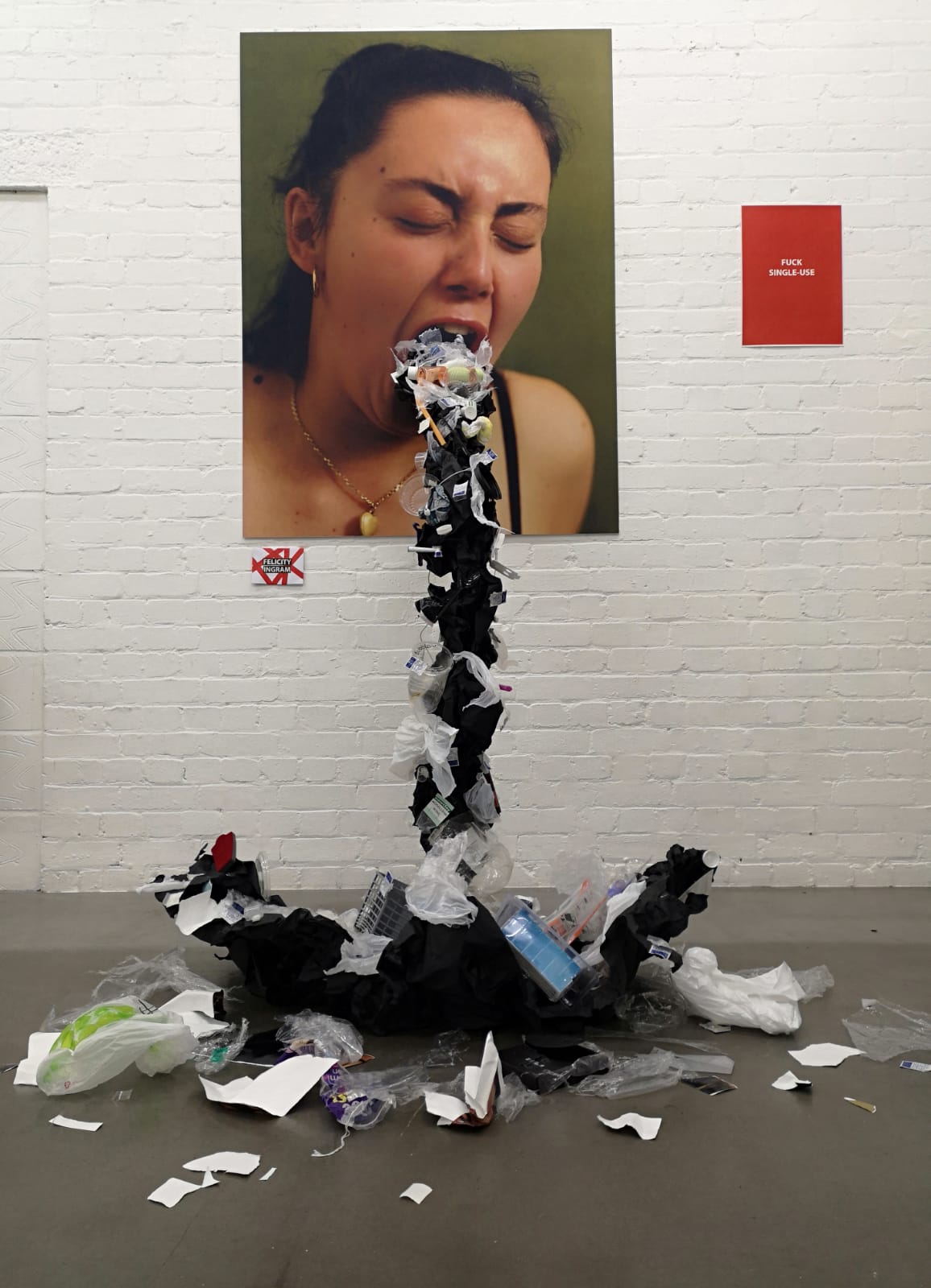 felicity ingram trash exhibition