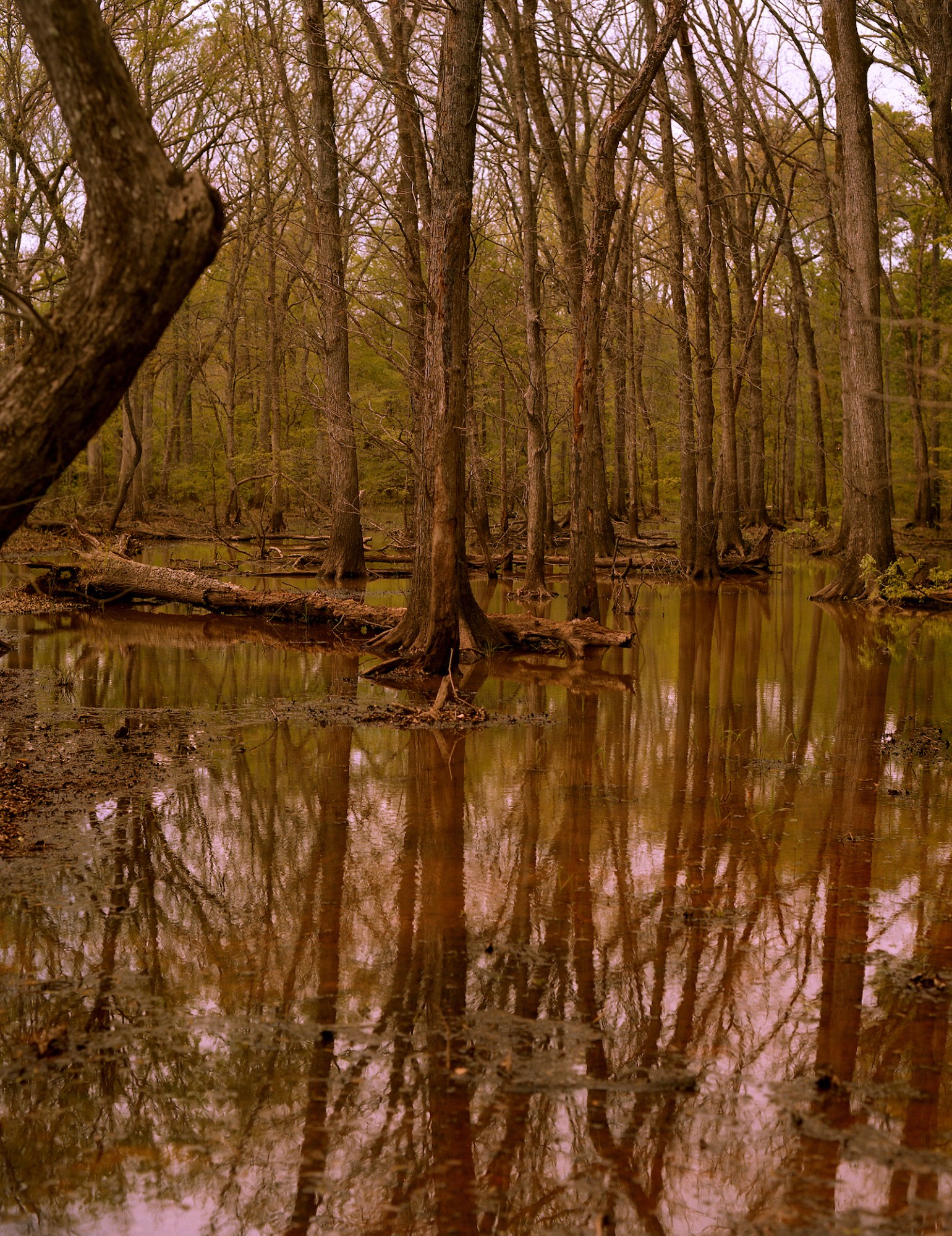 zachary chick photographs a lake in the woods