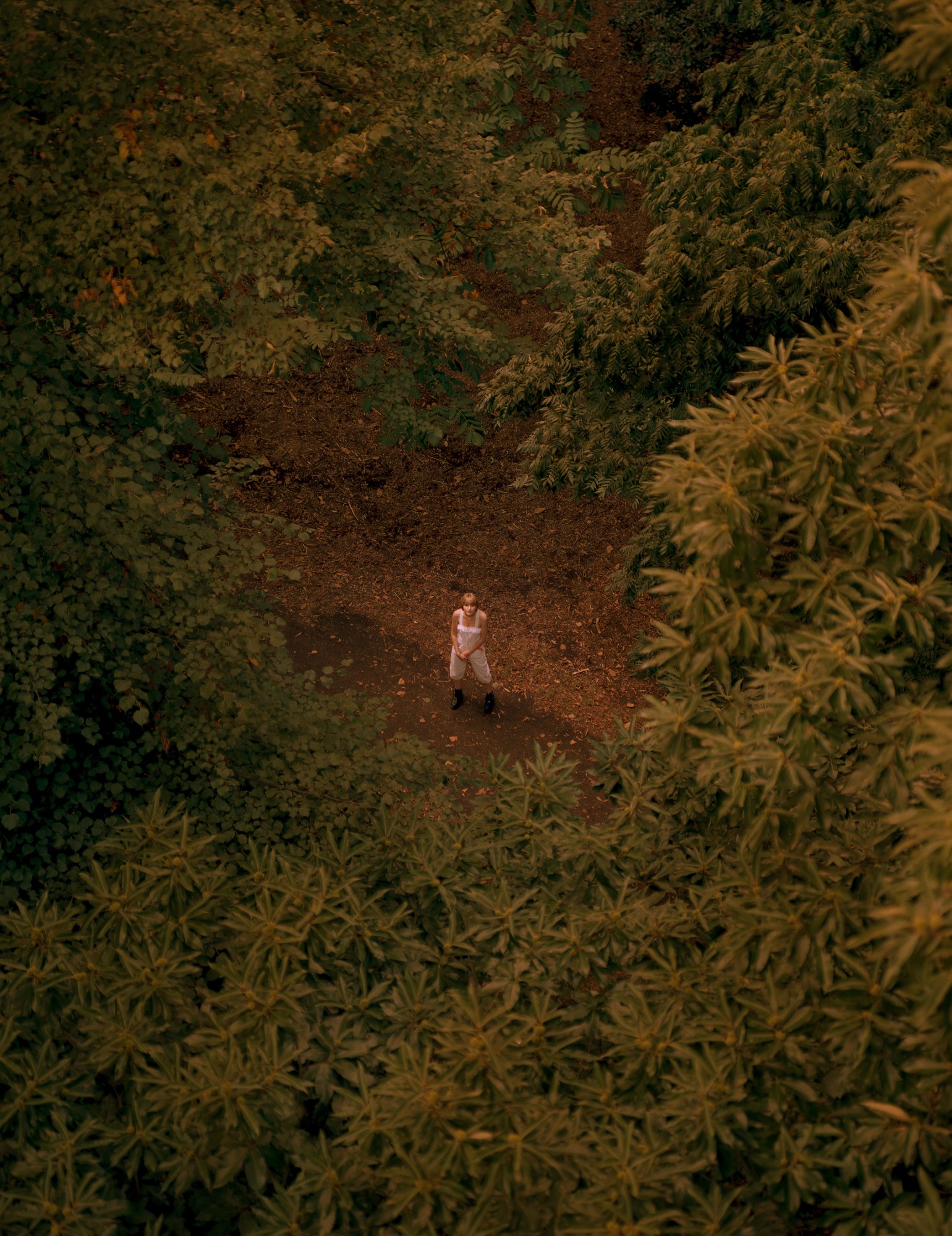 zachary chick photographs a girl stood in the woods