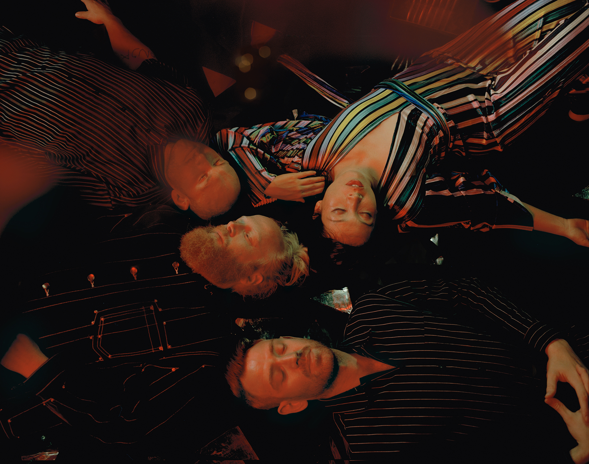 vicki king photographs little dragon