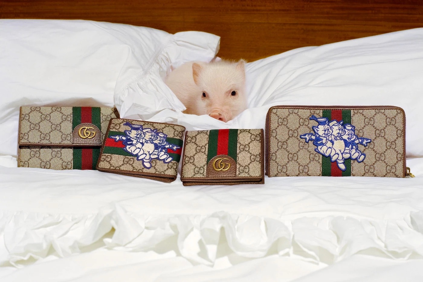 1547207805904-guccipig5