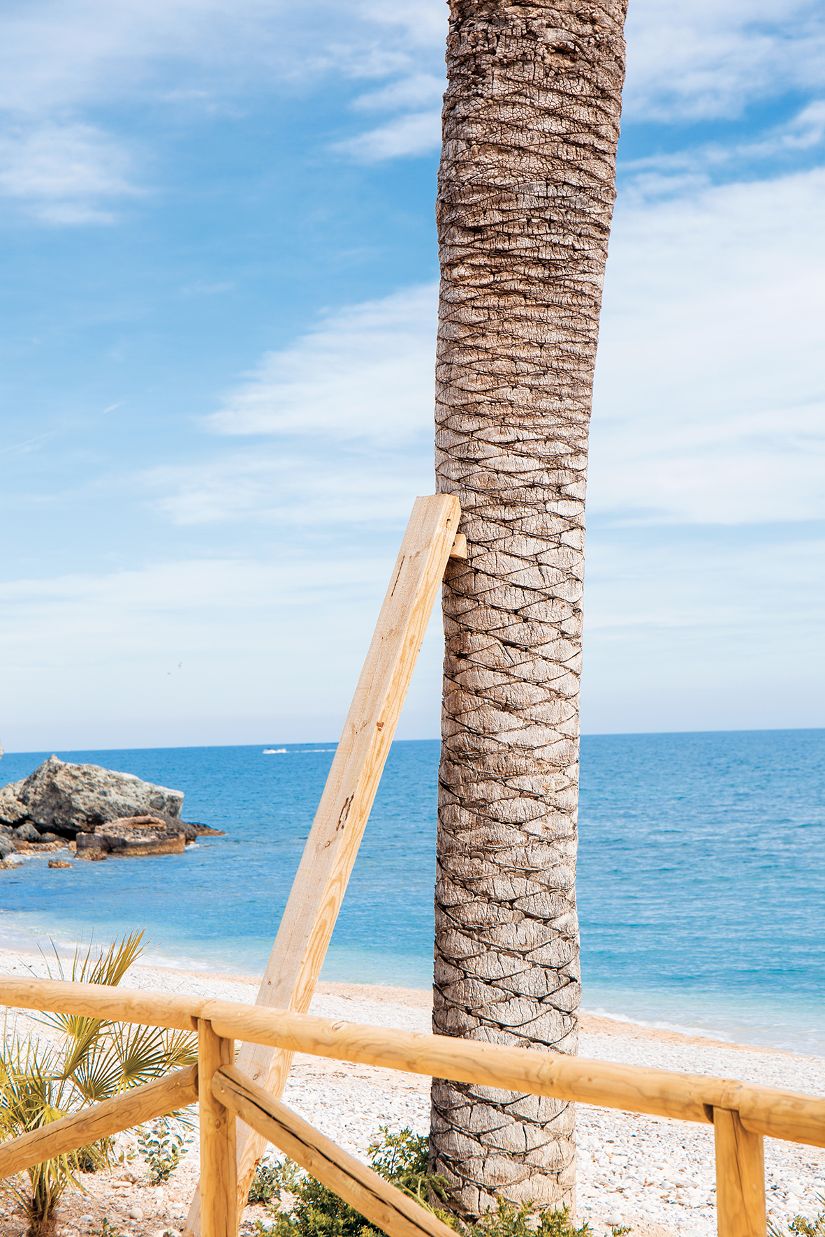 1549909451067-JJT_this-reminds-me_23