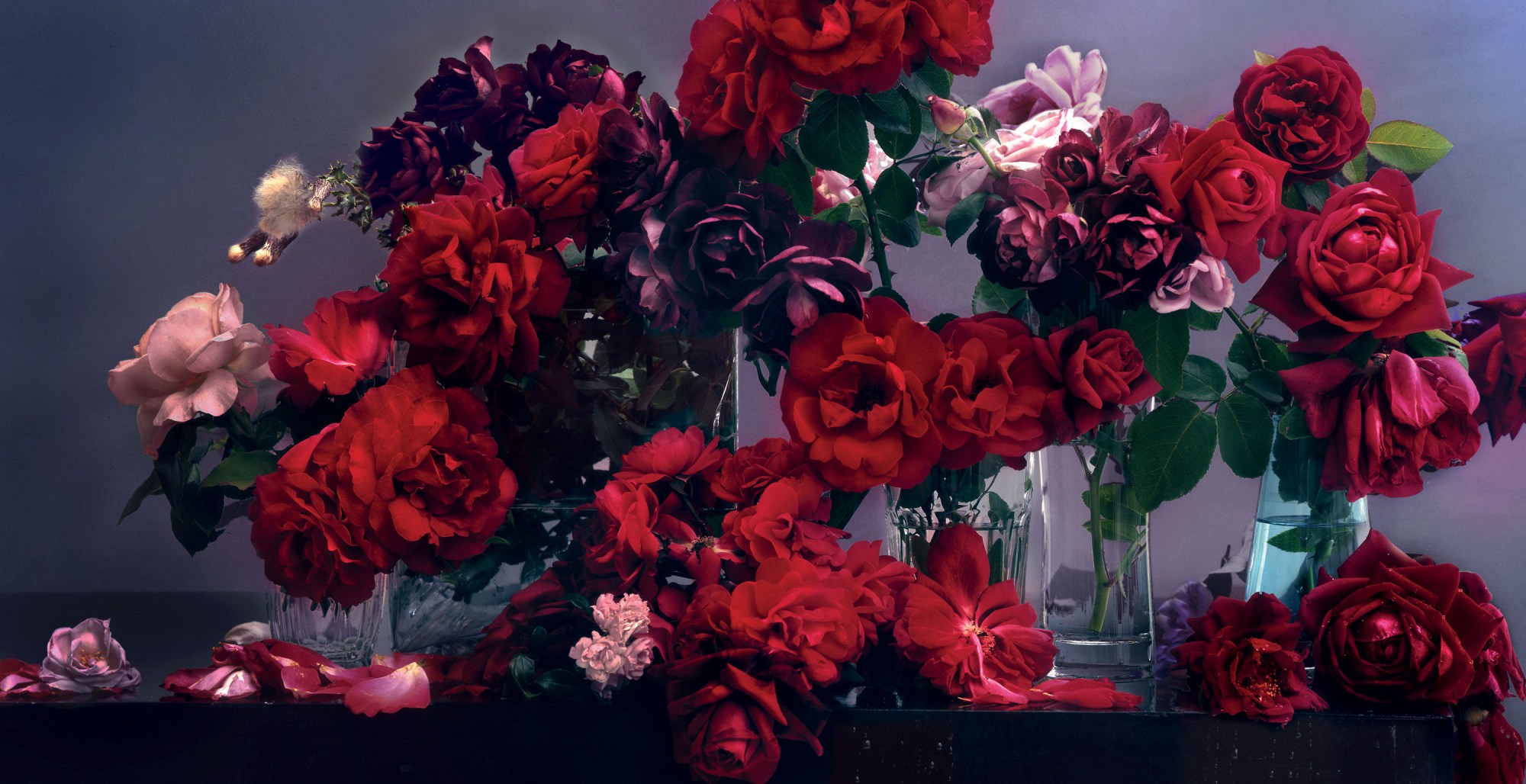 1557740862130-alexander-mcqueen-nick-knight-tribute-flowers