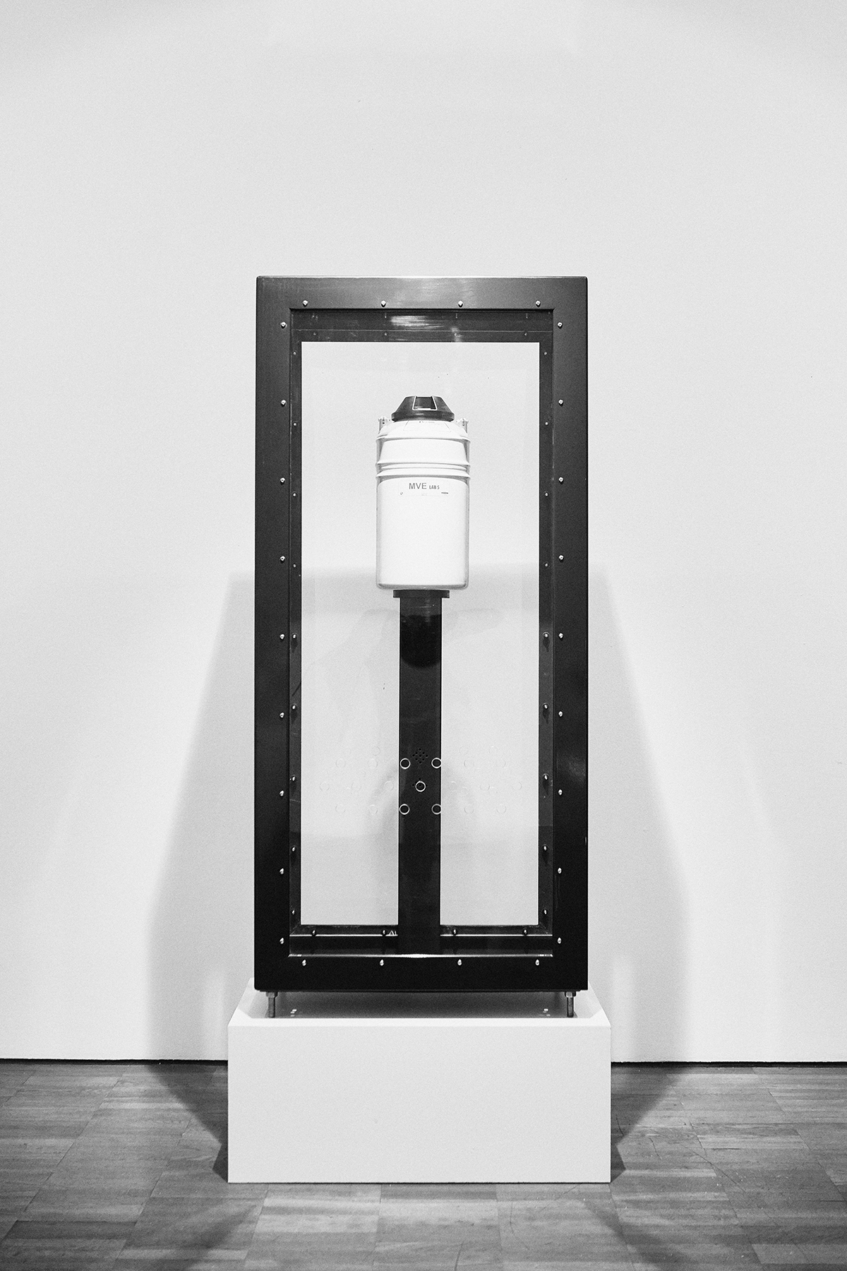 1559148493954-2019-05-02_RO_TOMMY_CASH_KUMU_012