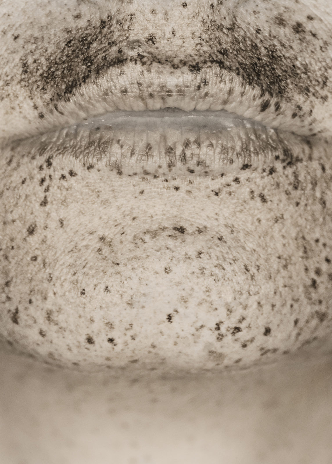 1561479124891-brut_raw_serie_photography_photographie_ultraviolet_UV_portrait_modele_taches_rousseur_freckles_pierre-louis_ferrer_HD_1-1143x1600-1