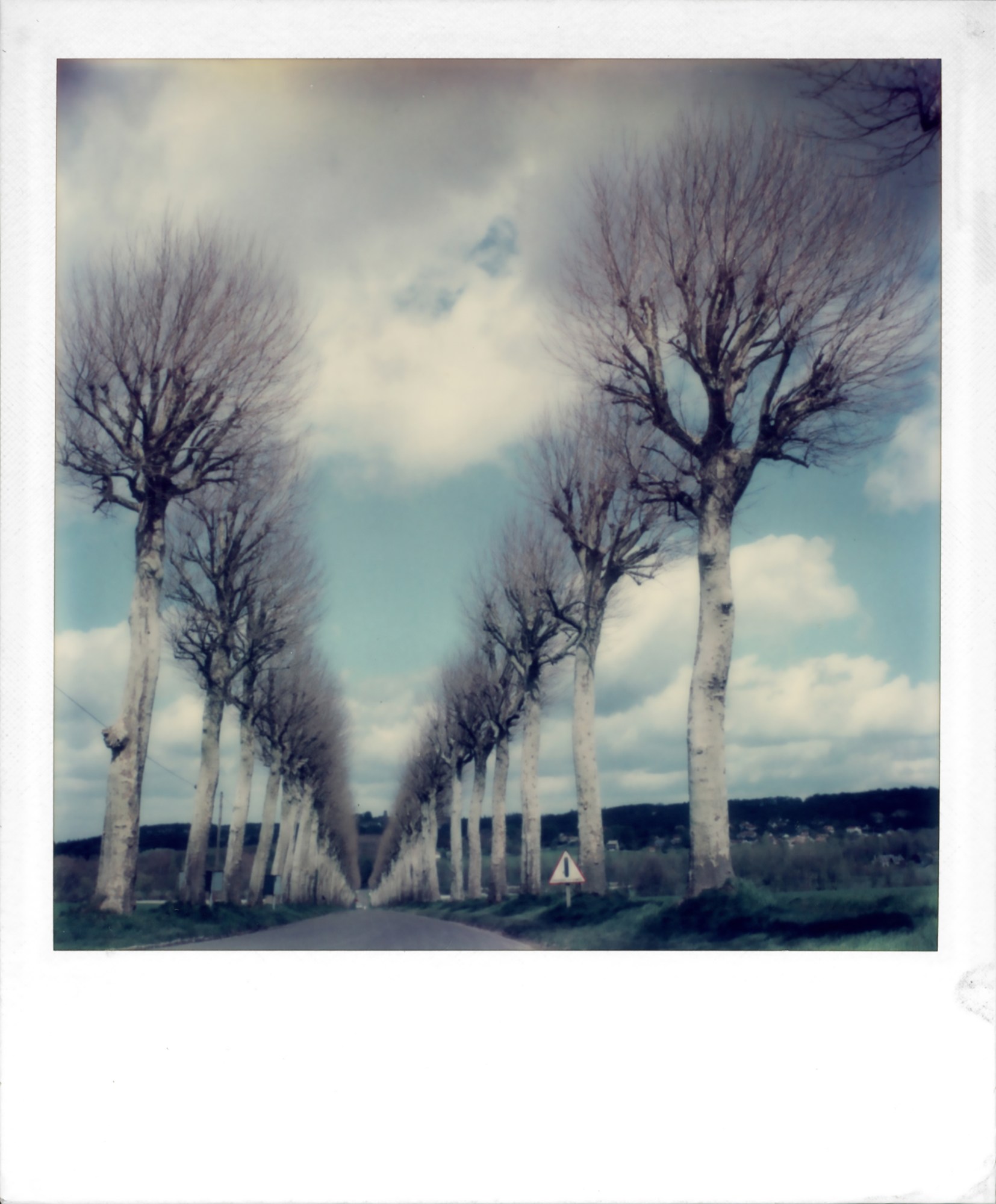 Robby-Muller-l-Winter-Trees