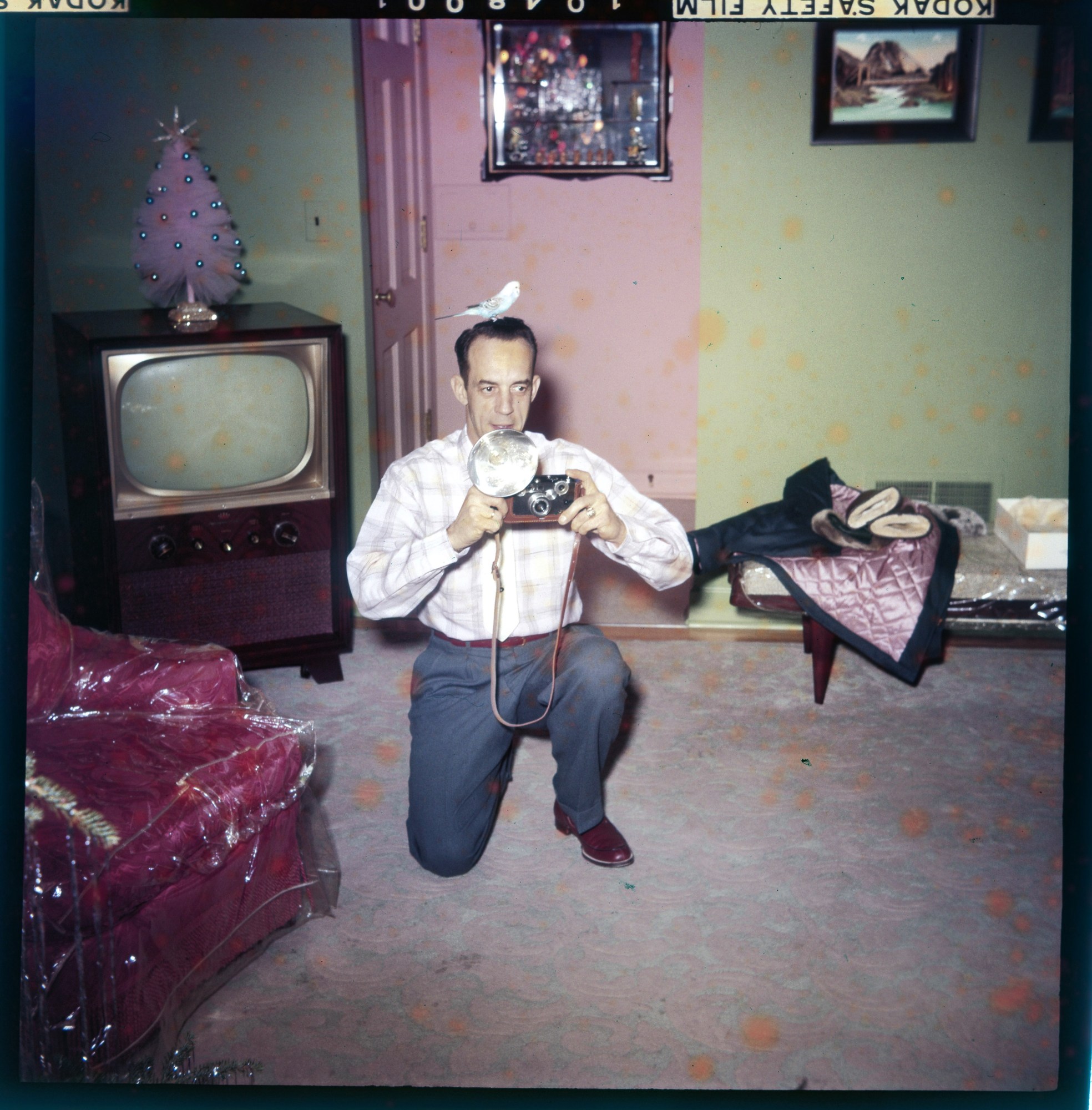 1564669309637-The-anonymous-project21