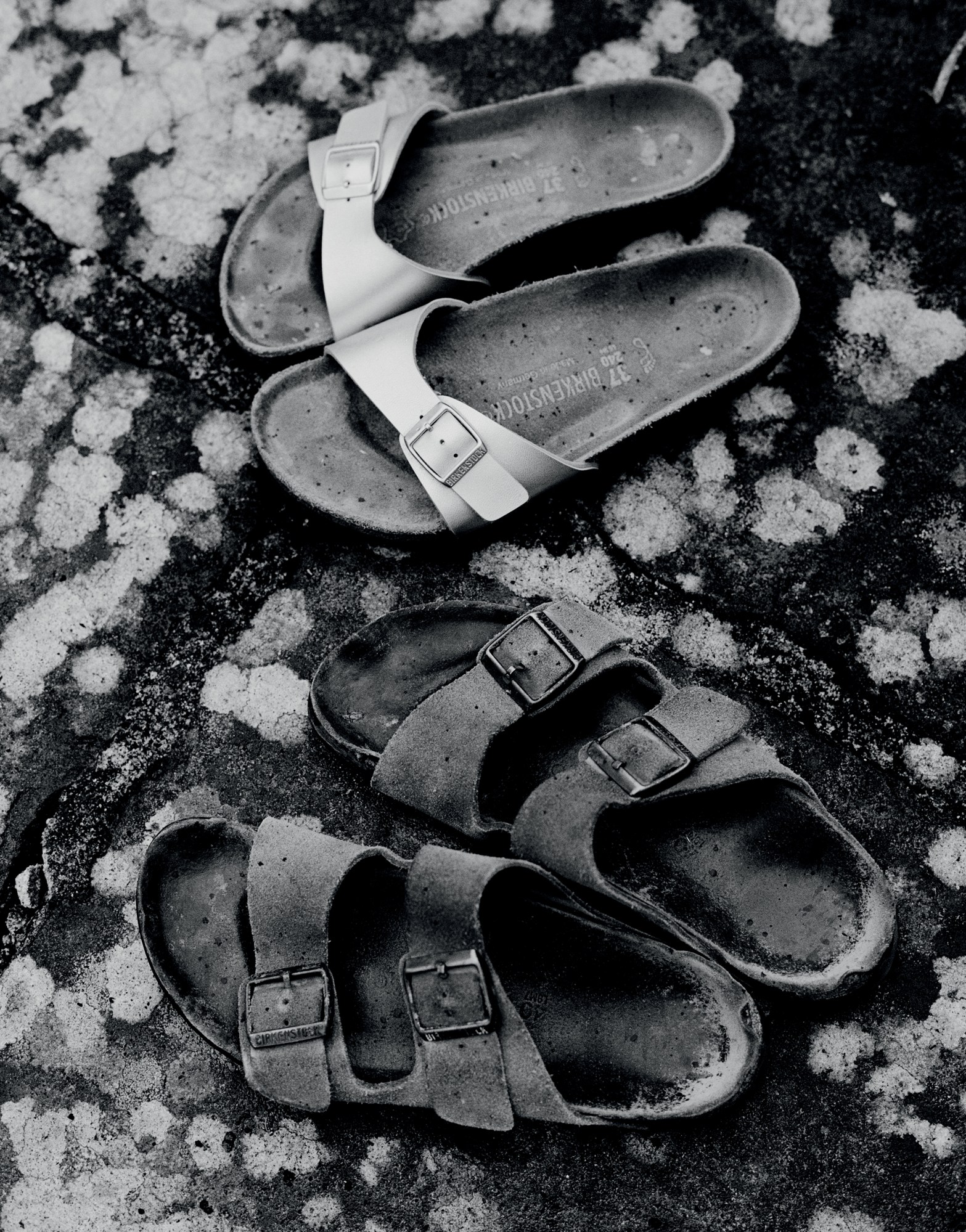1565279761286-birkenstock_personality_campaign_jones_still