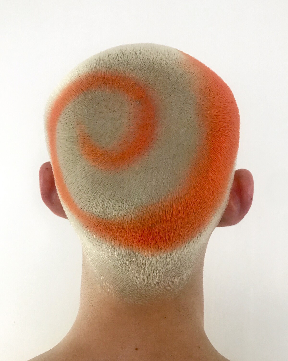 swirl-hair-janina-zais