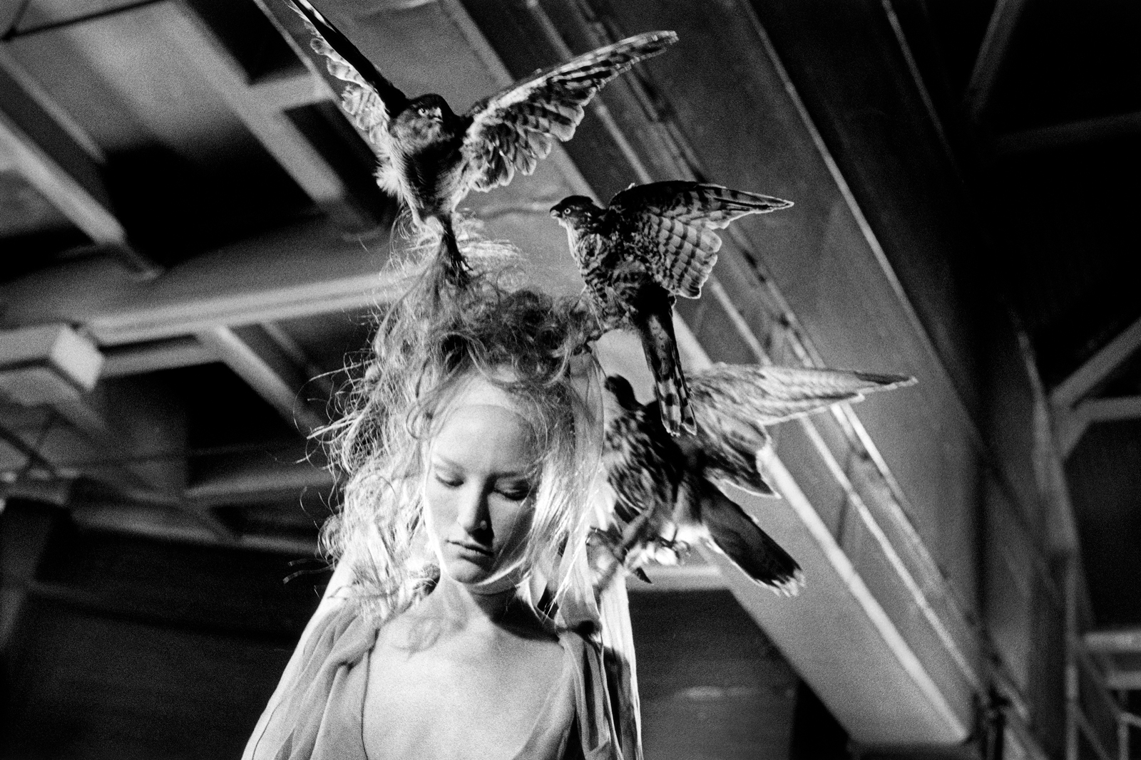 Alexander McQueen model with bird headdress