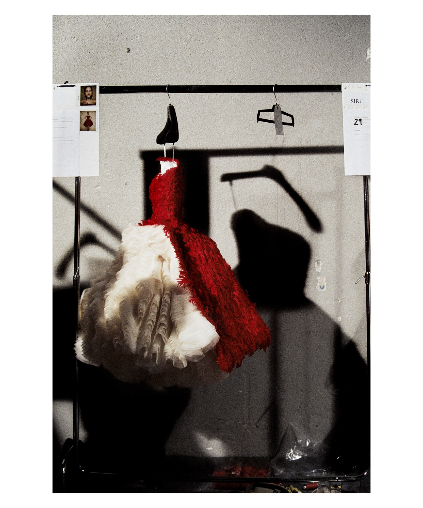 Alexander McQueen red feather dress hanging up