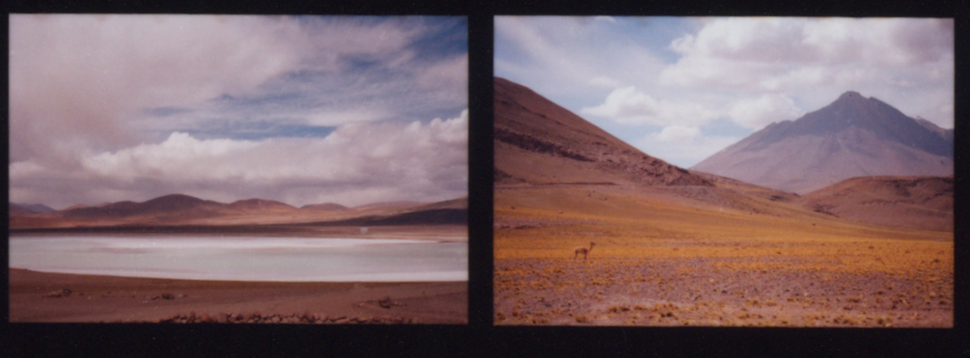 sean+seng's photography