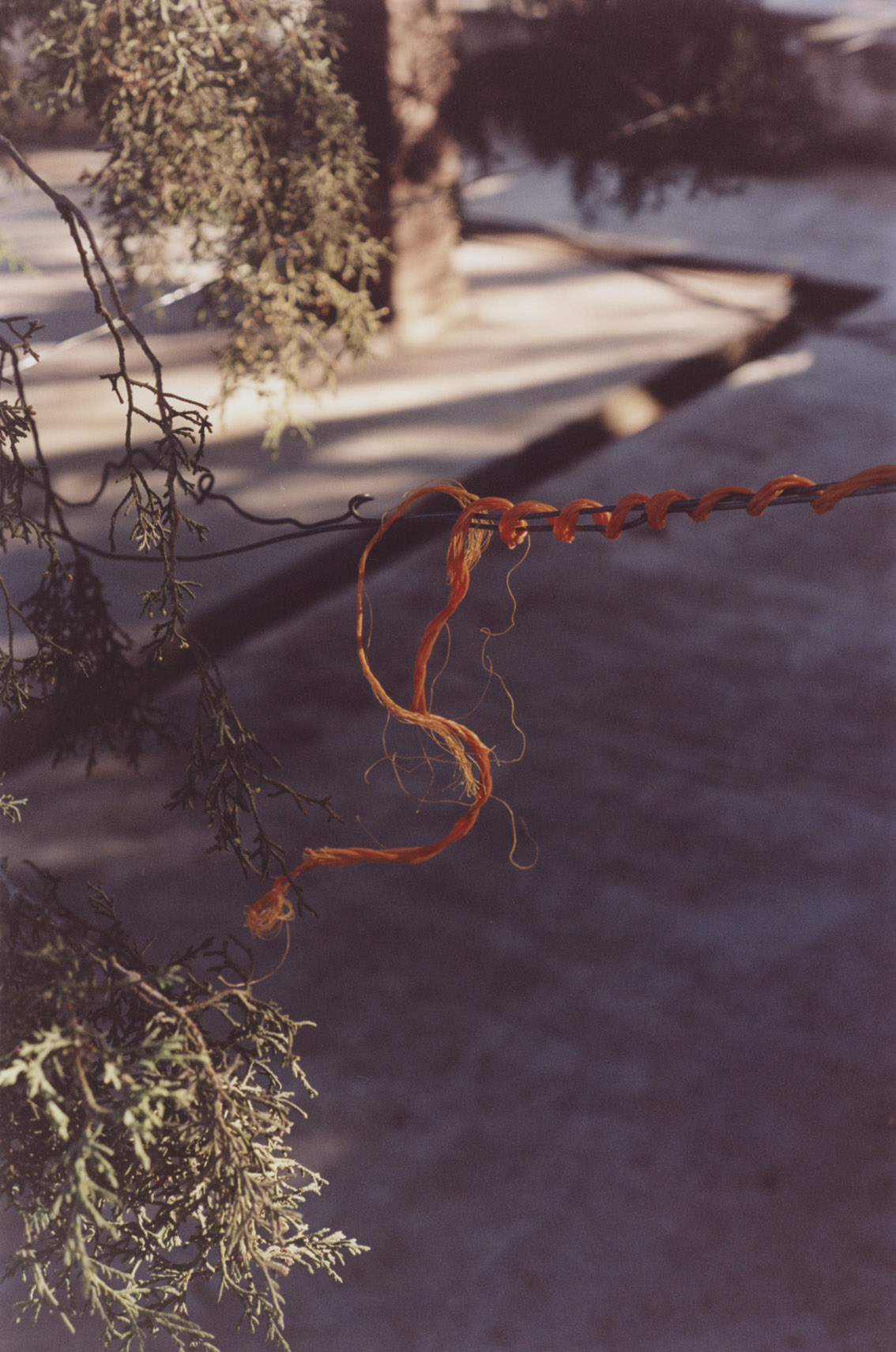 sean+seng's photography