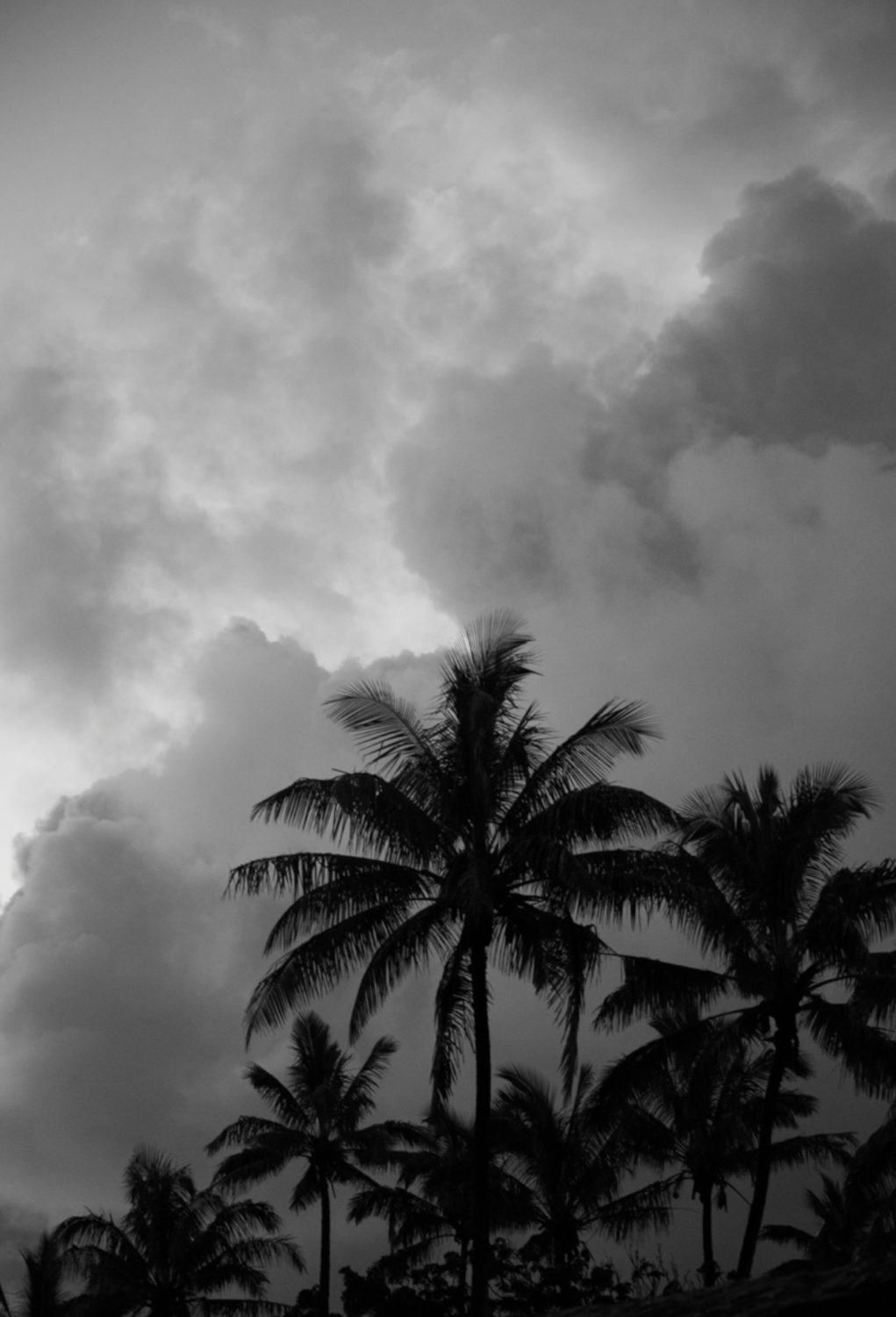 sean+seng's photography