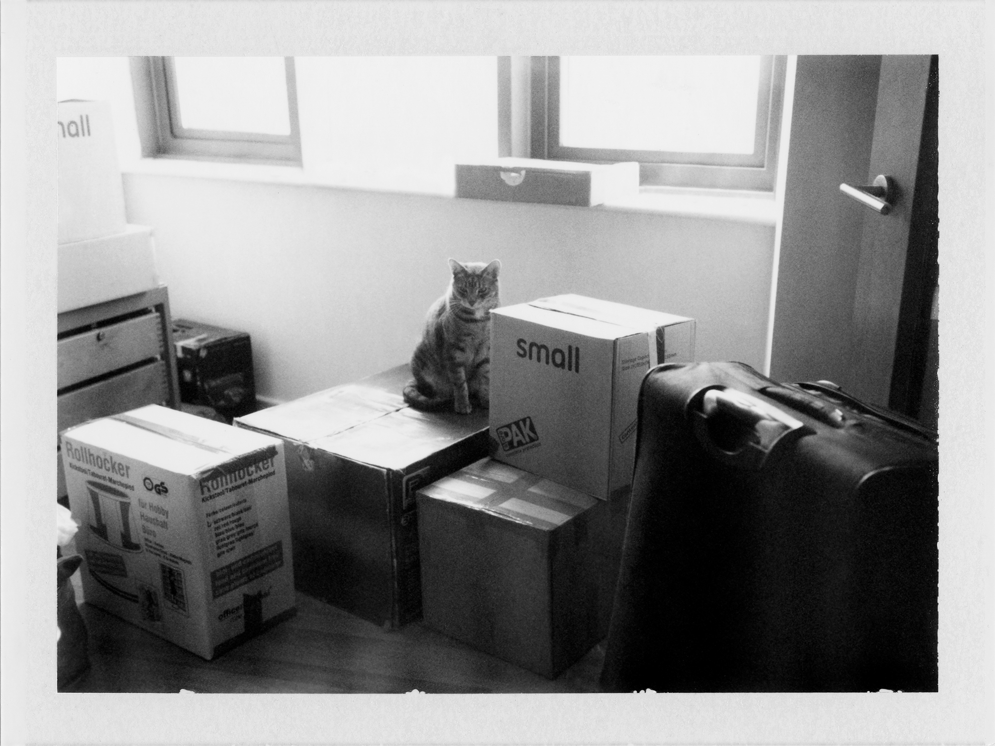 ian kenneth bird's photography