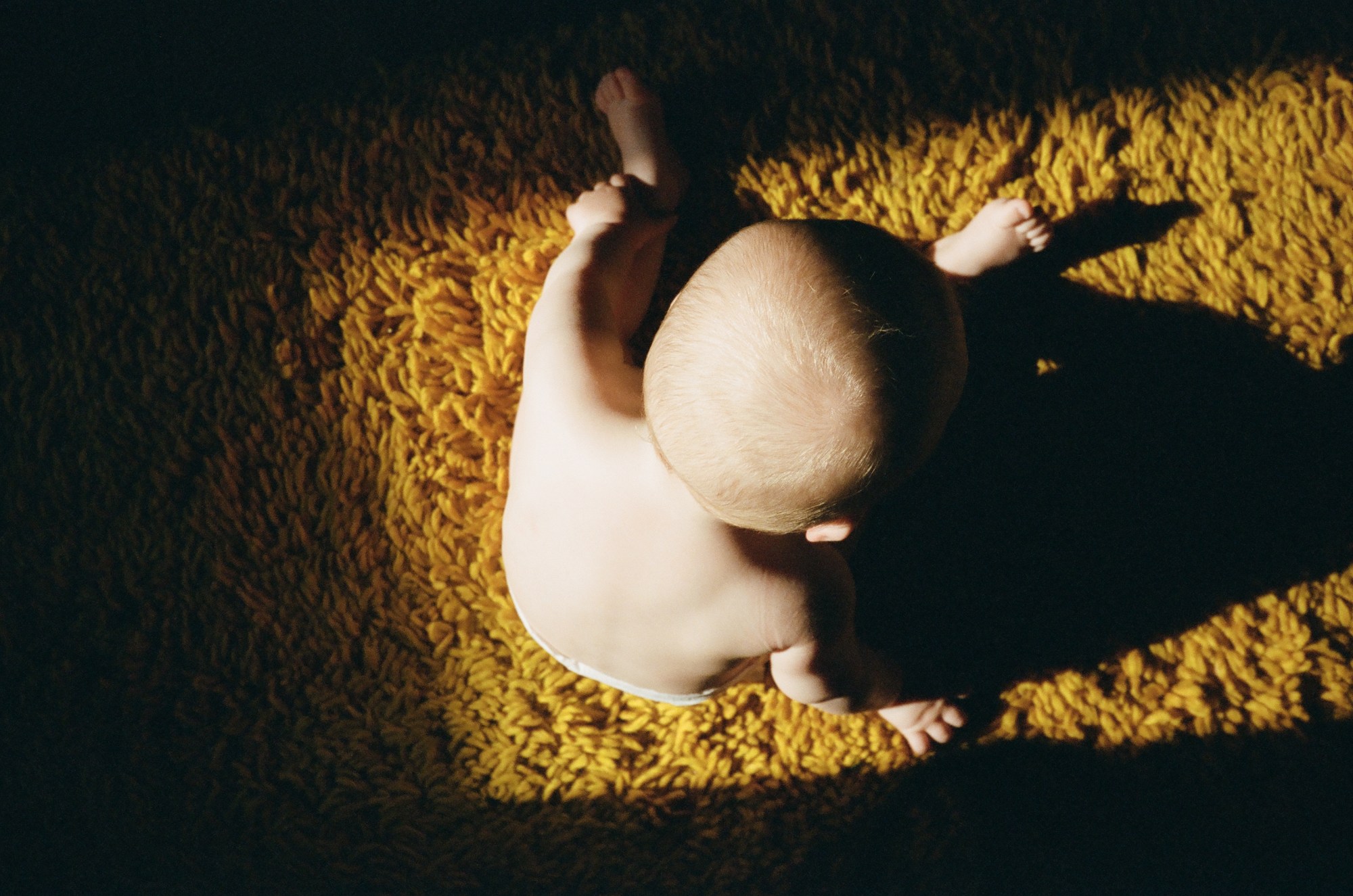 scott trindle photography