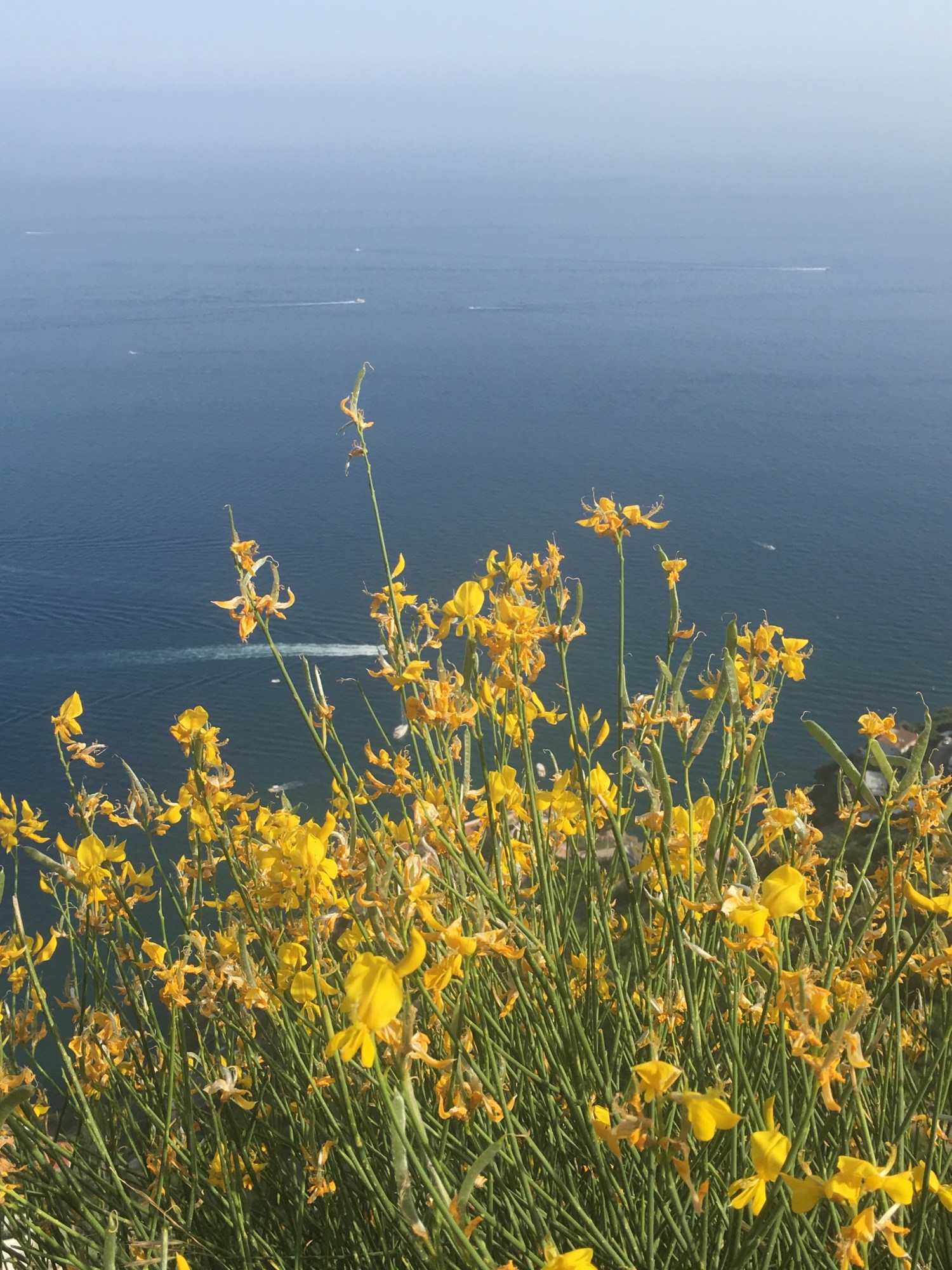 james tolich photography