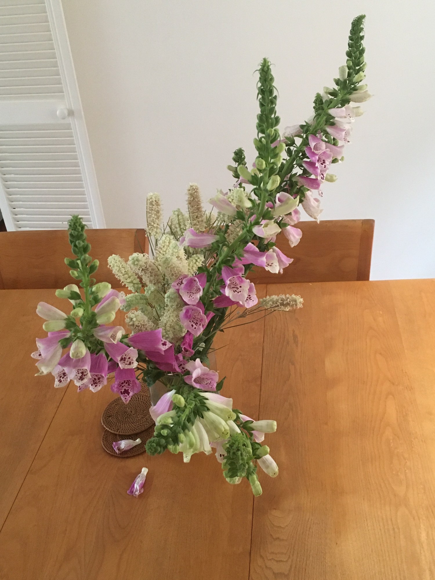 JAMES TOLICH PHOTOGRAPHY