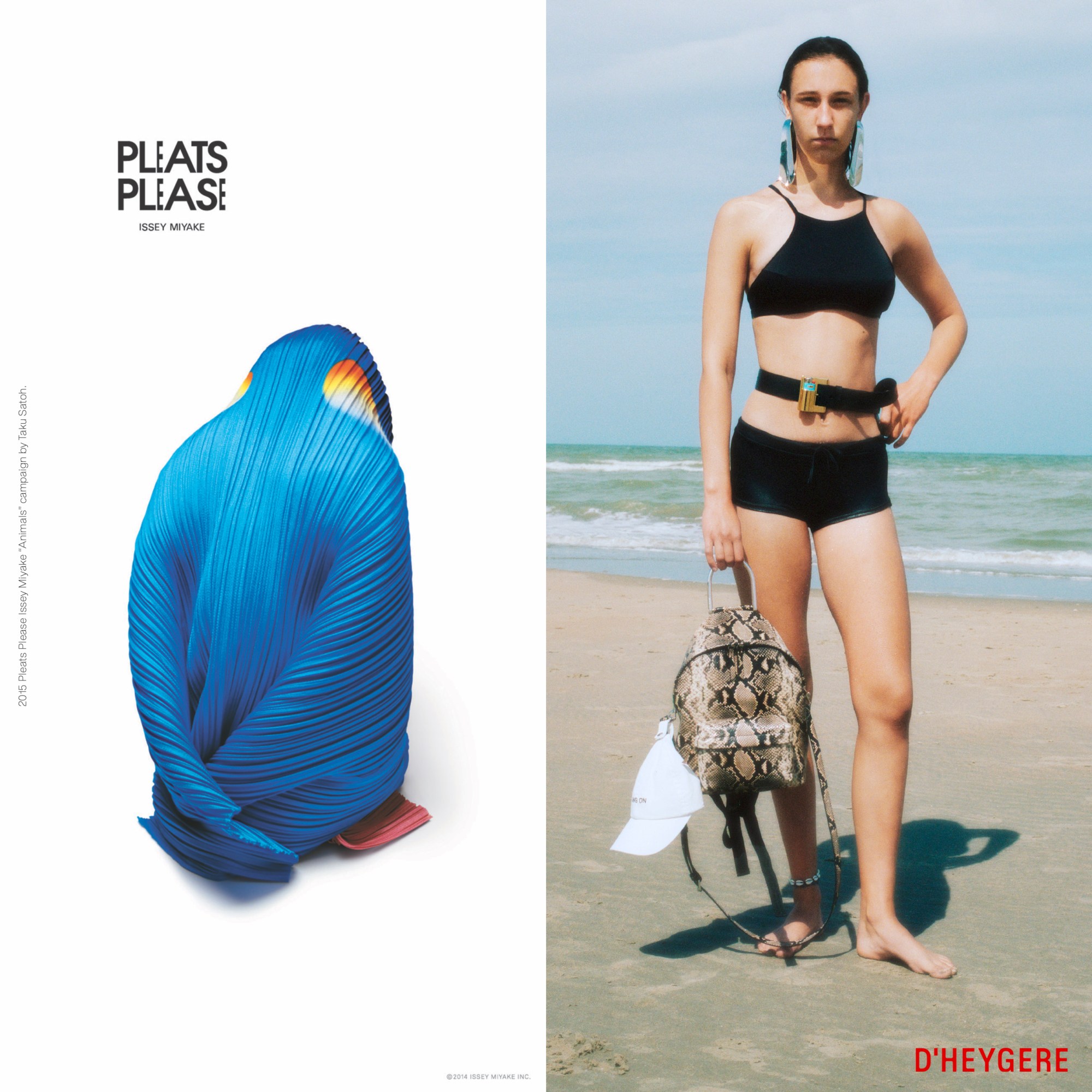 1583860415764-wallet_issue7_vc1