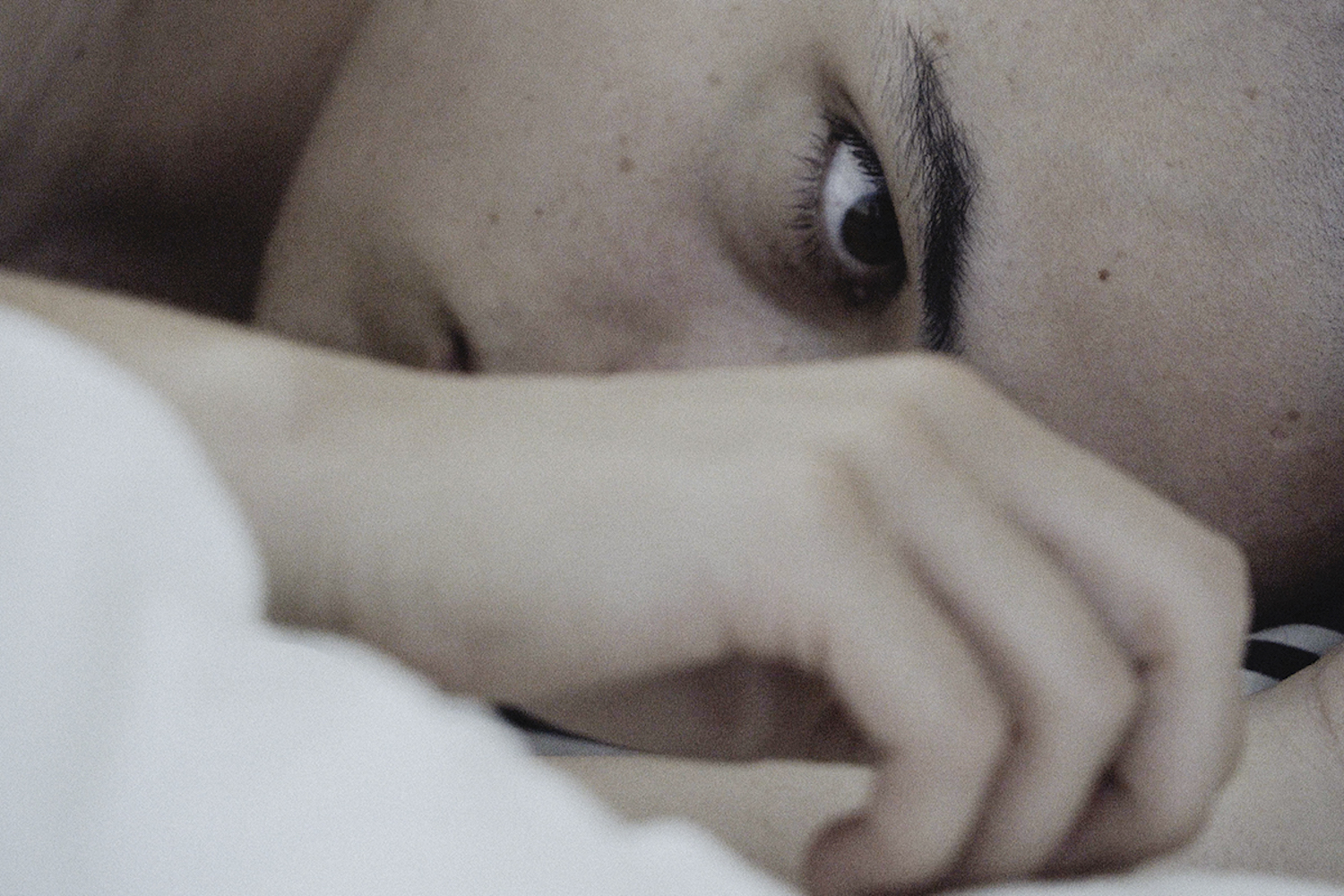 Still from Beware of Dog courtesy of Allen Pictures LLC