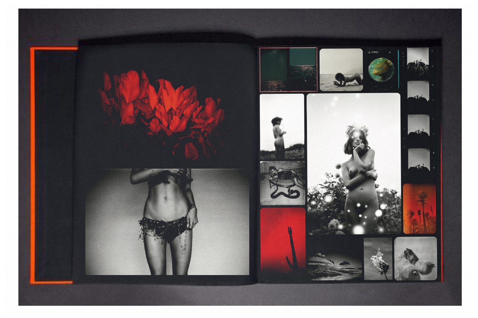 kate-bellm-photography