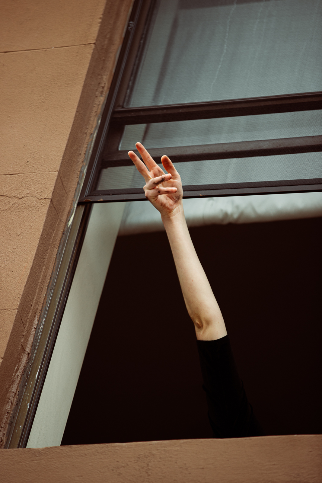 come-to-my-window-photo-series-by-aysia-marotta