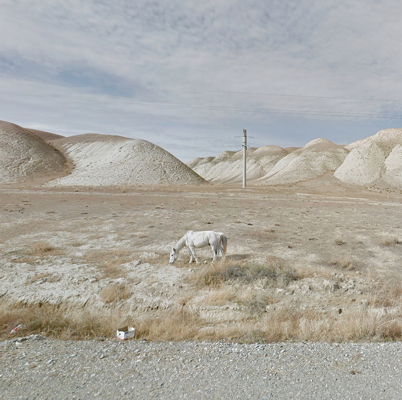 1589282693491-White-Horse_Kyrgyzstan