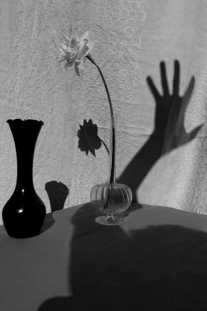 photo of shadow of hand