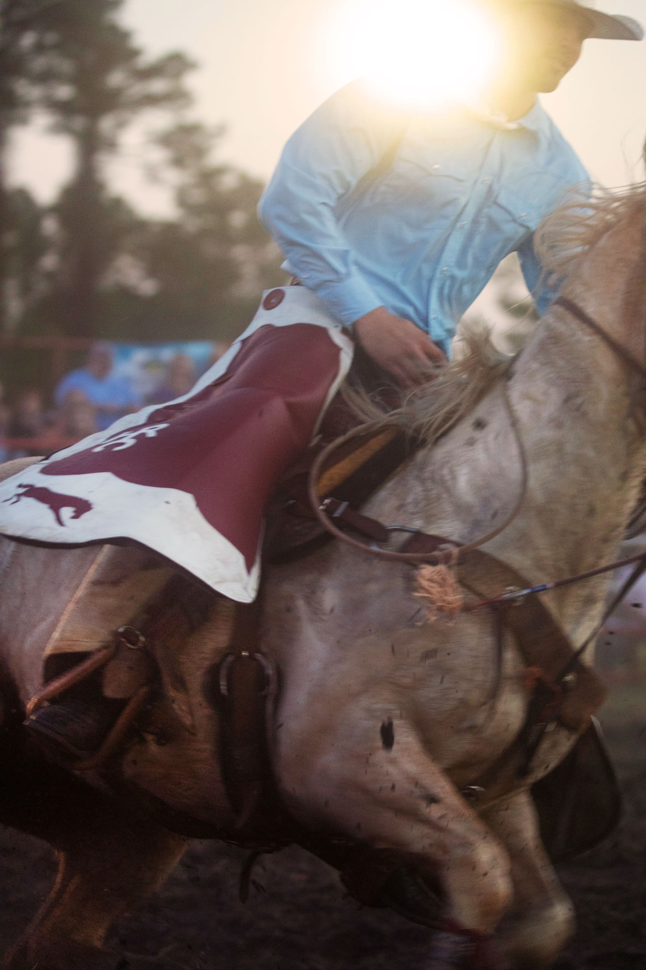 Anna-Ottum-American-rodeo-photos