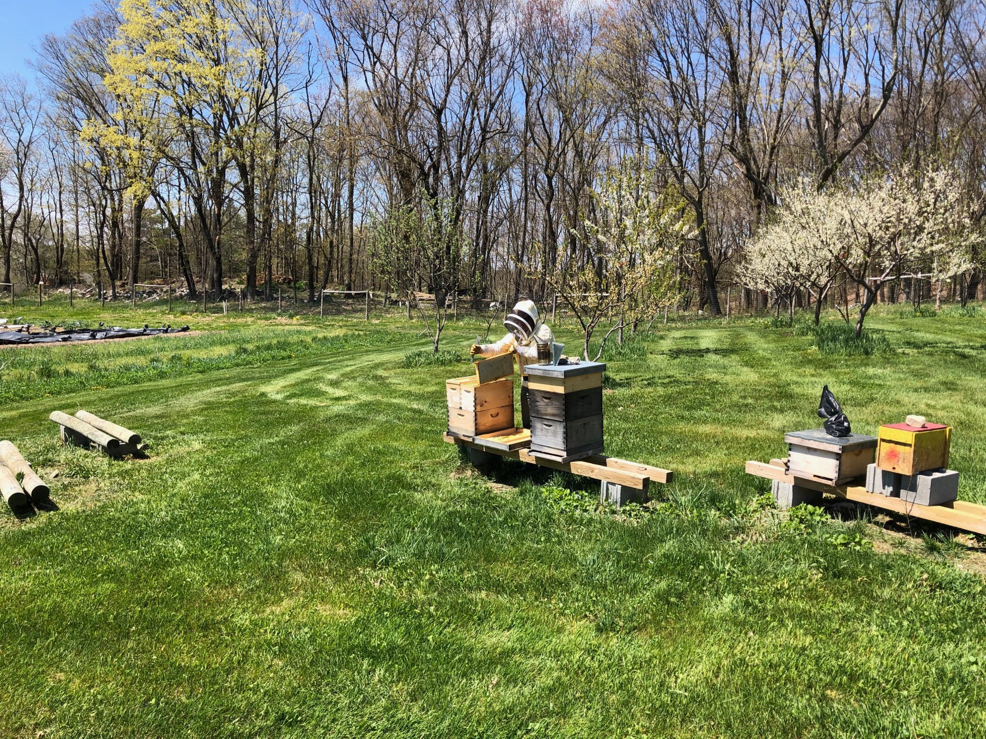 Beehives