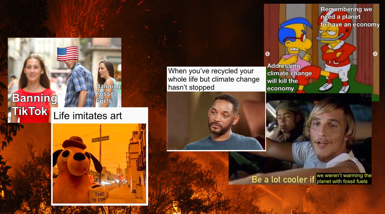 United in laughter: how memes can help relieve stress – The Dispatch, image size:1530x850