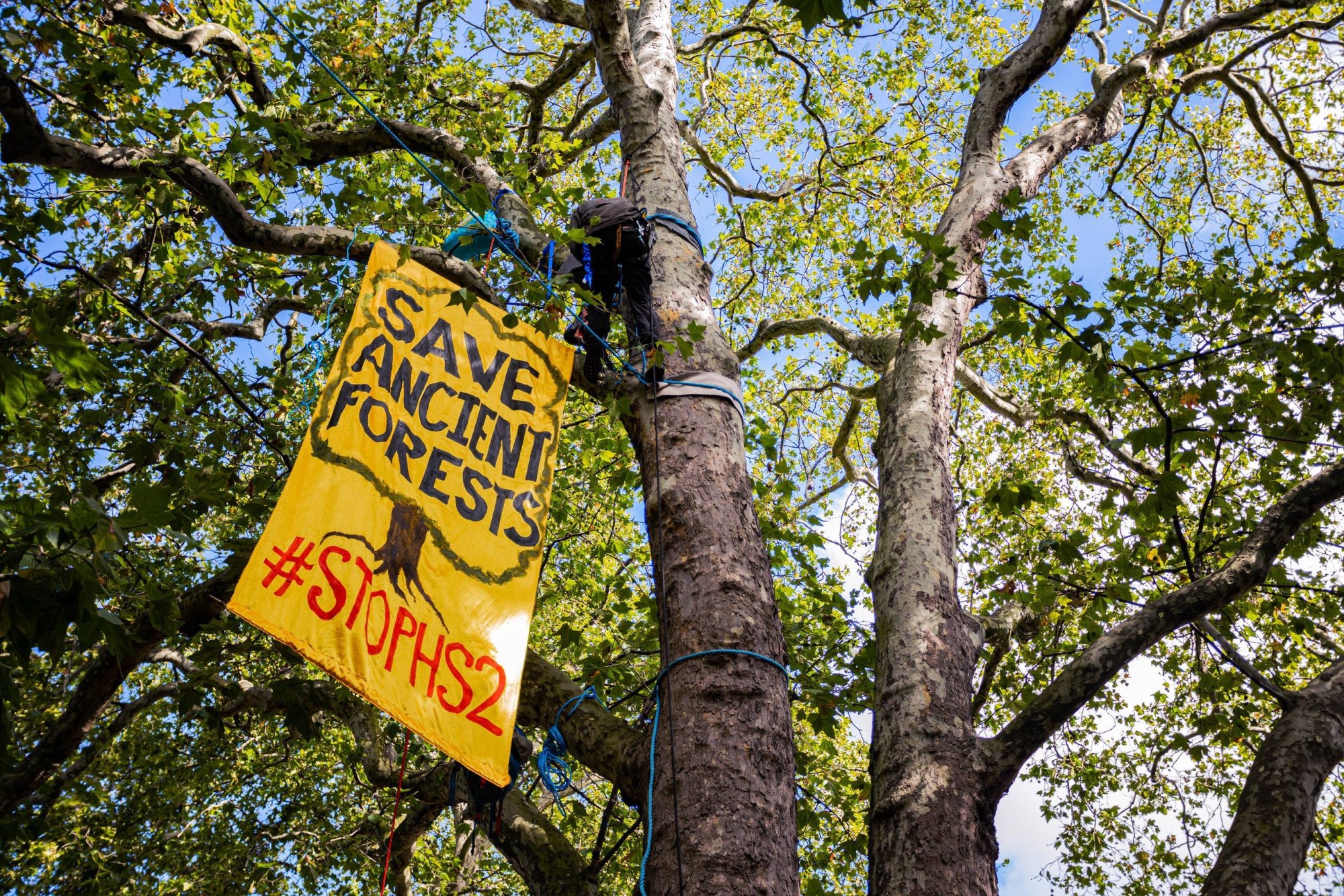 HS2 protest sign in Euston Square