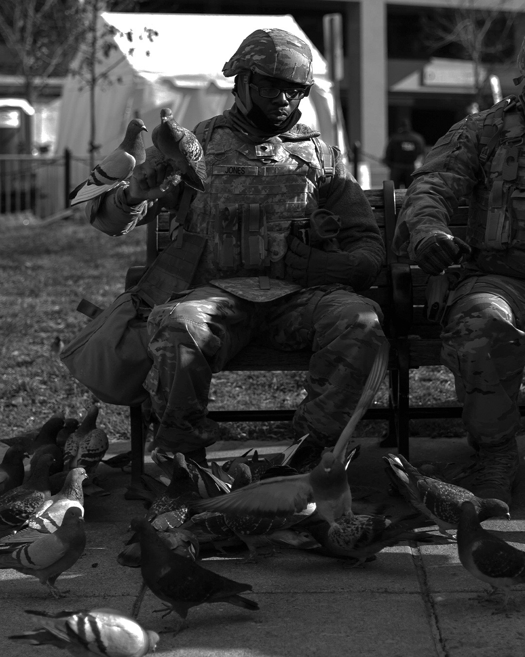 an armed guard sat amongst pigeons