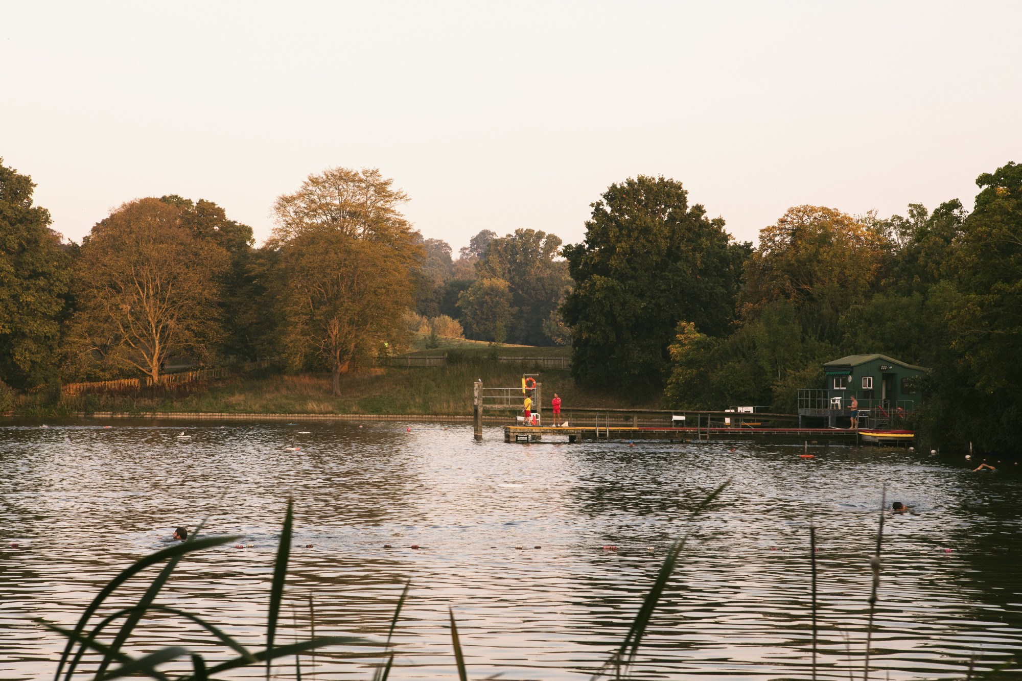 a picture of hampstead ponds at dusk