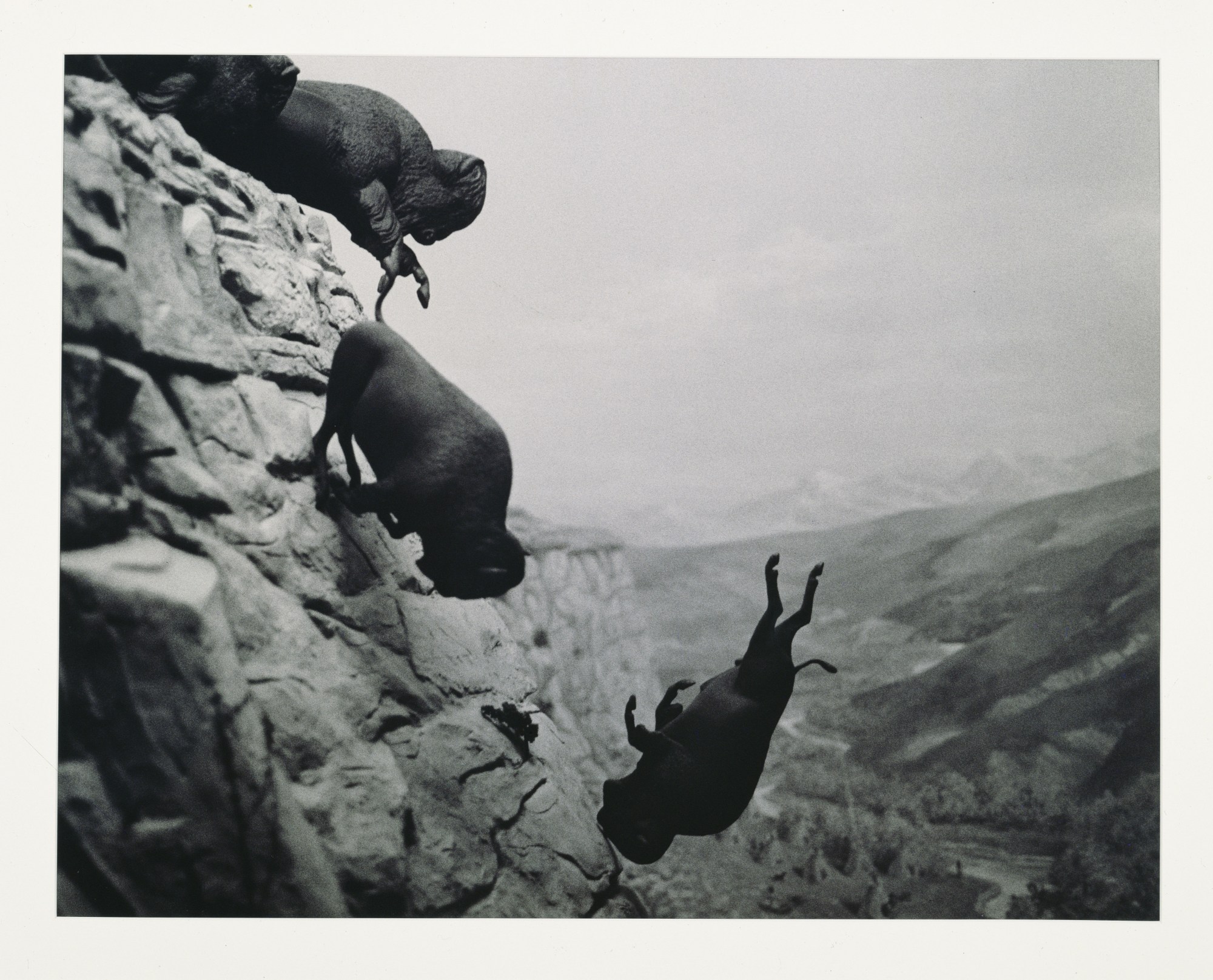 David Wojnarowicz Untitled , 1988 - 89 © Estate of David Wojnarowicz. Courtesy of the Estate and P.P.O.W