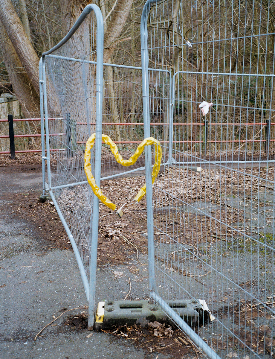 a yellow chain holds two metal fences together, making the form of a heart