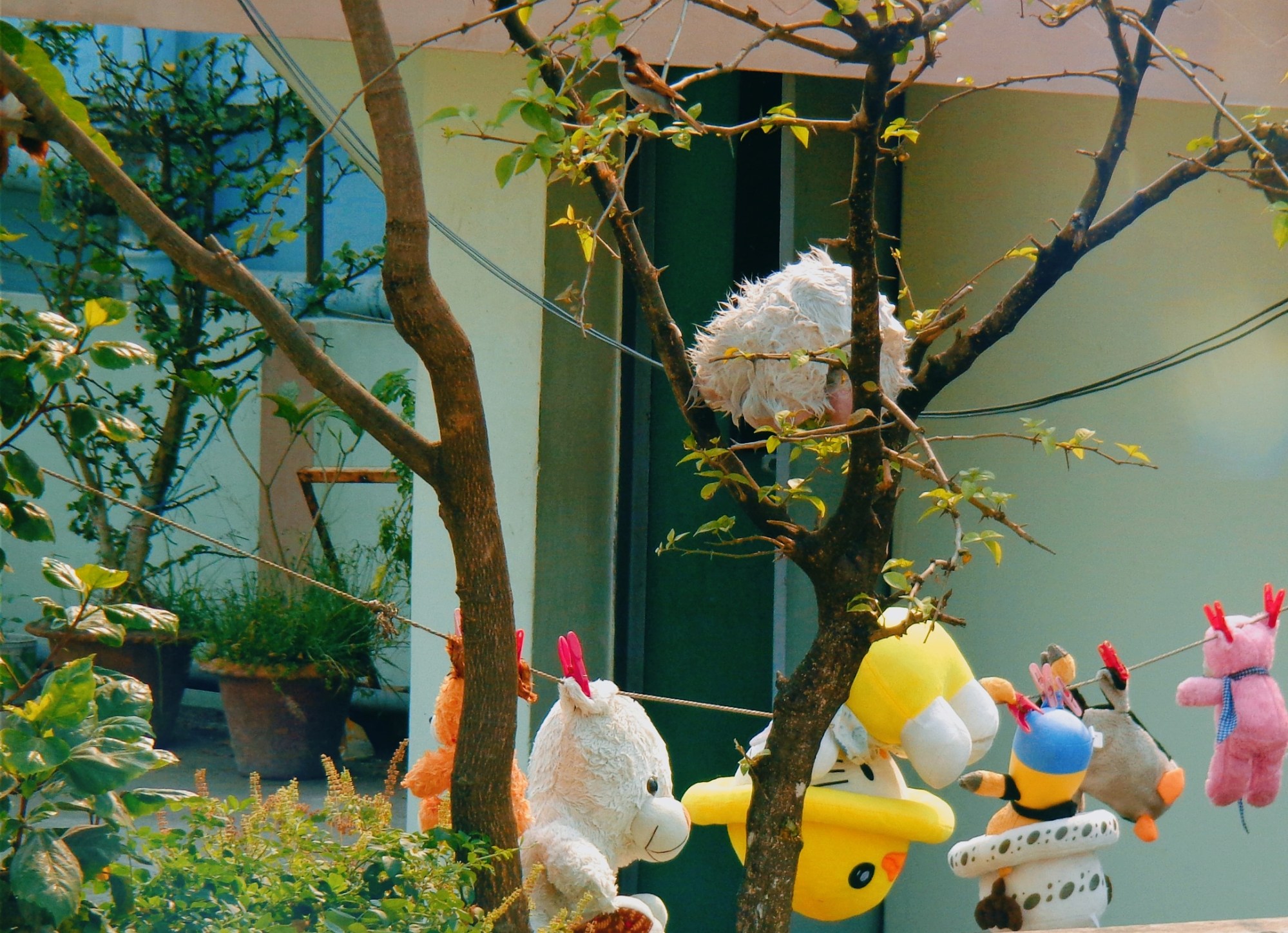 toys arranged on a washing line hanging across a tree in a garden full of plants