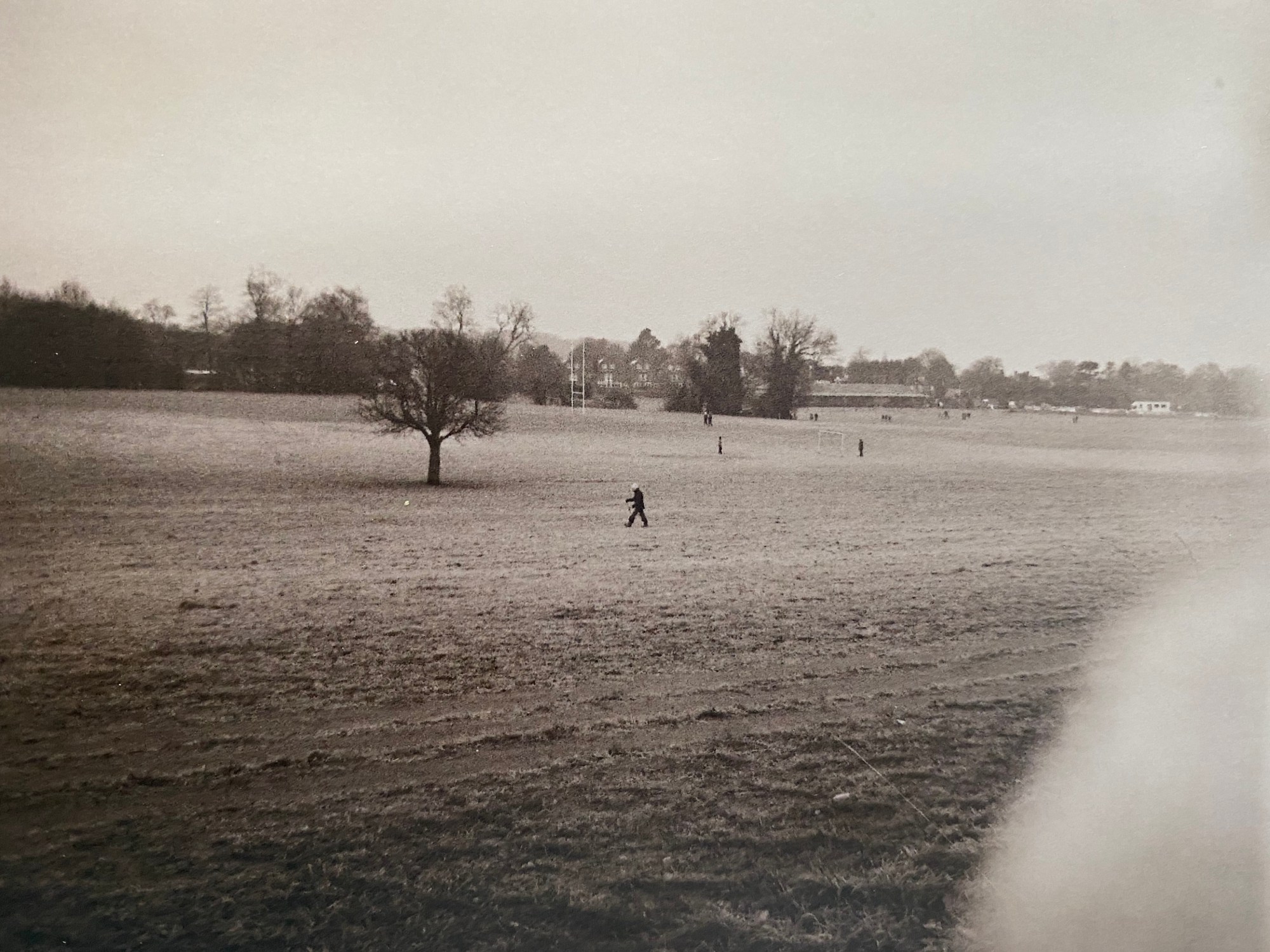 A field with one lone tree and a person walking across it, in the right hand corner there's a thumb over the lens