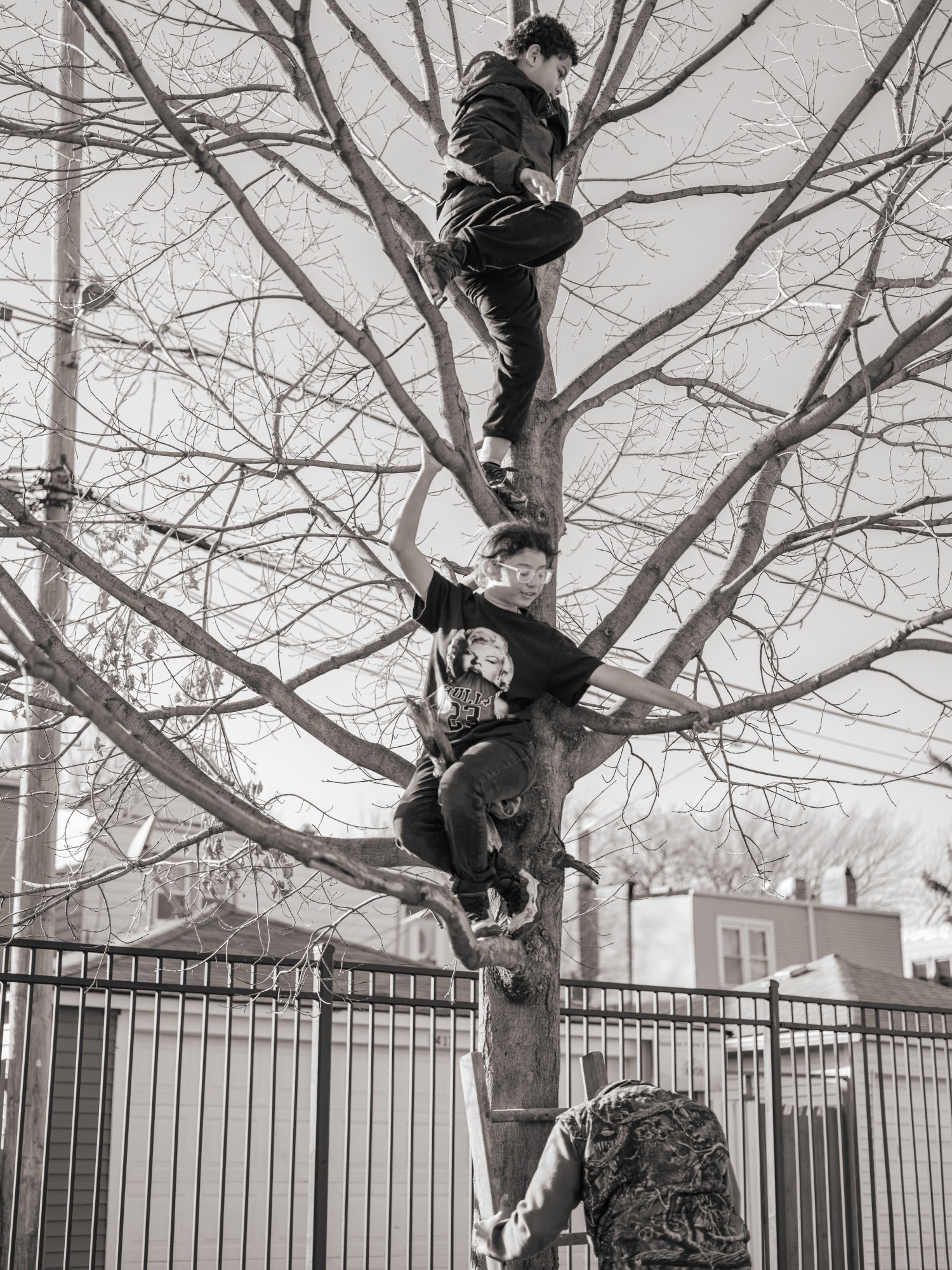 two kids climb a tree while an adult below holds a ladder