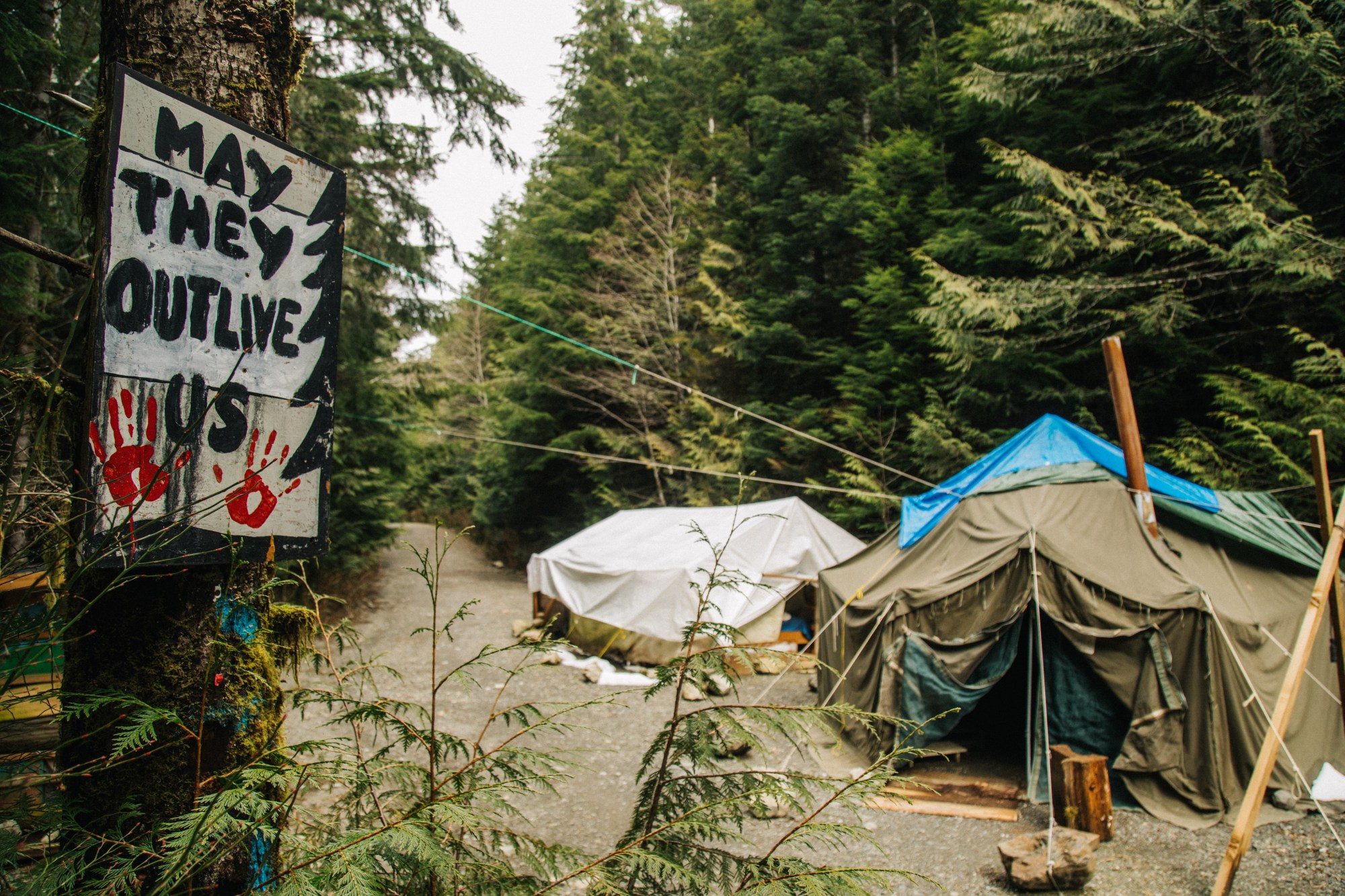 a sign on a tree reads MAY THEY OUTLIVE US next to two tents belonging to protesters